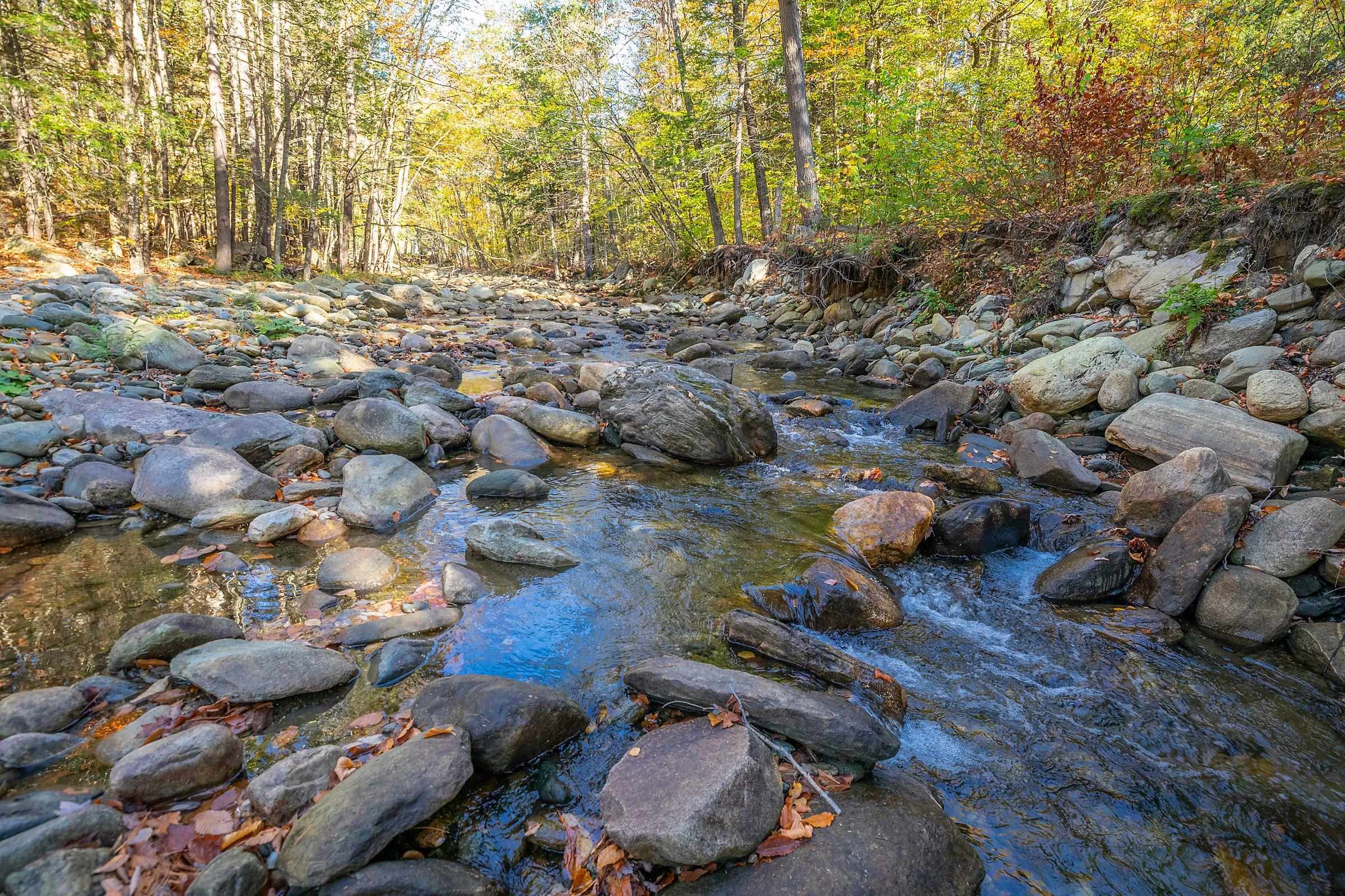 199 Turkey Mountain Road Jamaica, VT 05343 - Photo 59 of 59