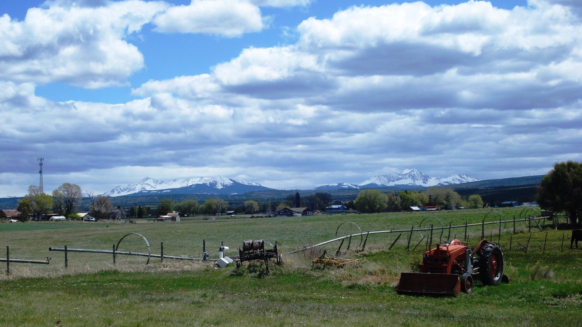 50 Homestead Road Norwood, CO 81423 - Photo 18 of 25