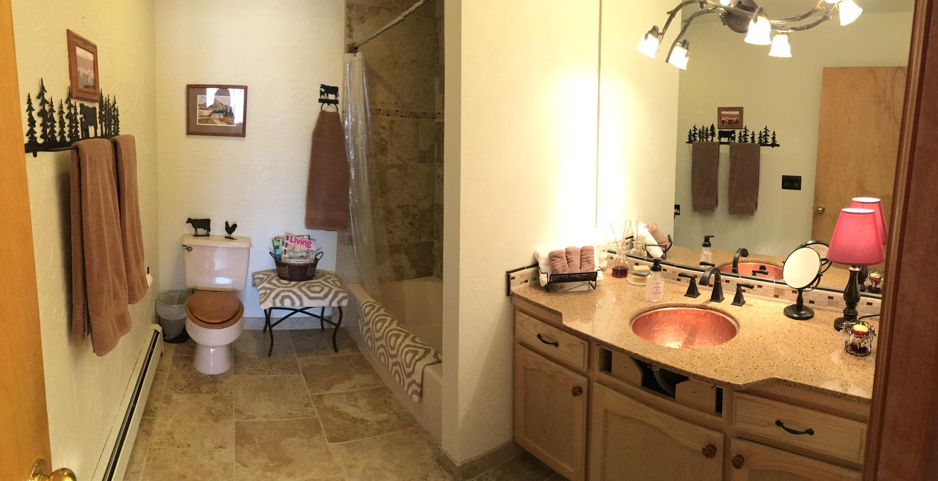 50 Homestead Road Norwood, CO 81423 - Photo 9 of 25 a bathroom with a sink vanity mirror and toilet