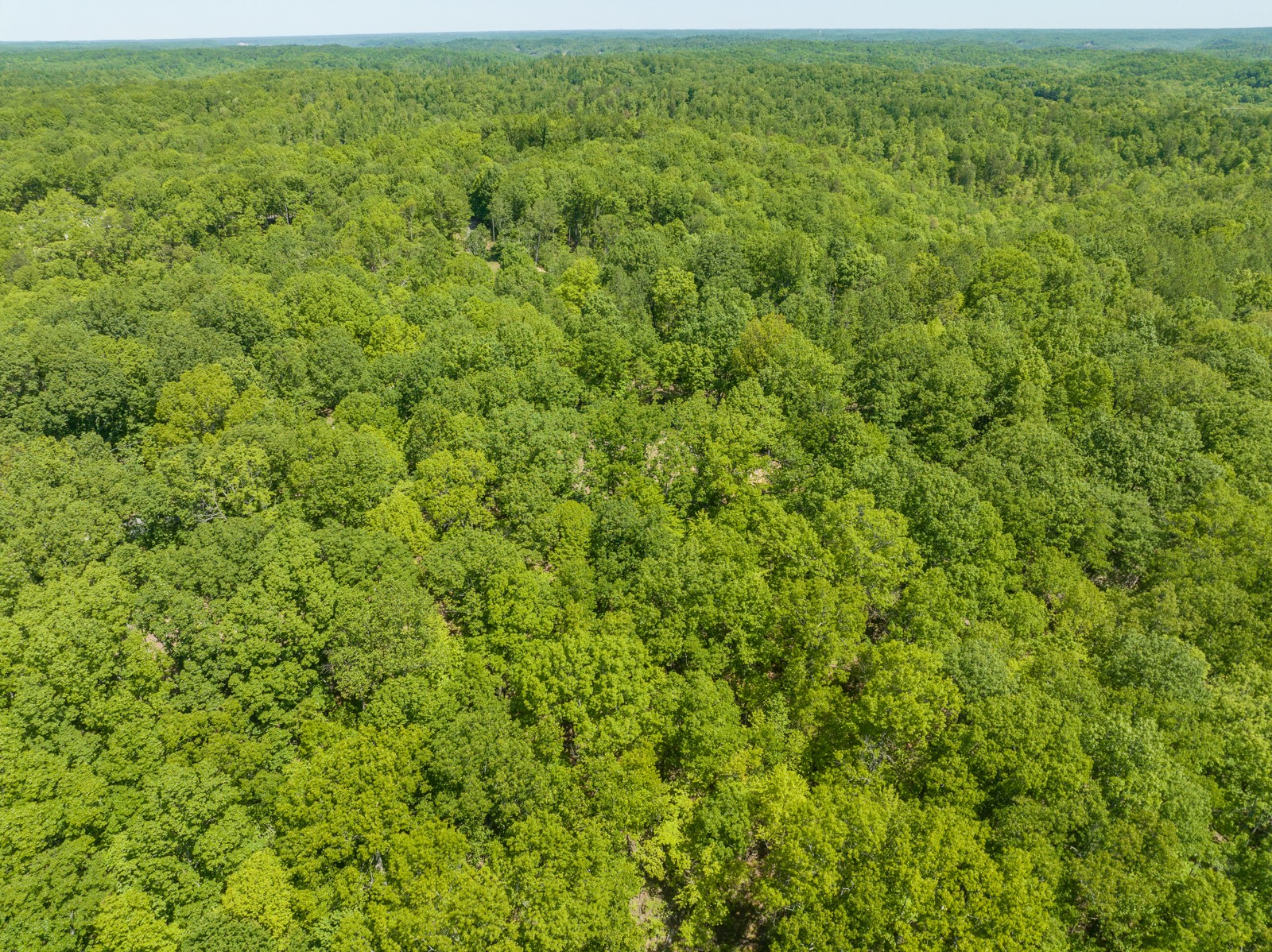 1608 Apache Trail Pegram, TN 37143 - Photo 14 of 19