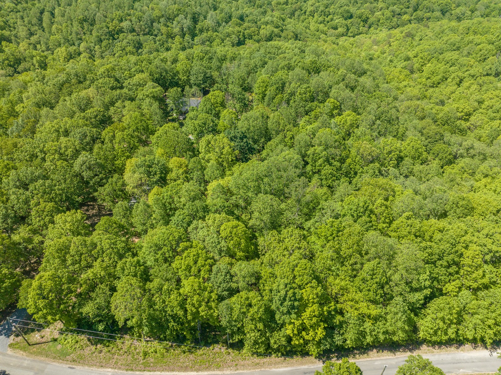 1608 Apache Trail Pegram, TN 37143 - Photo 15 of 19