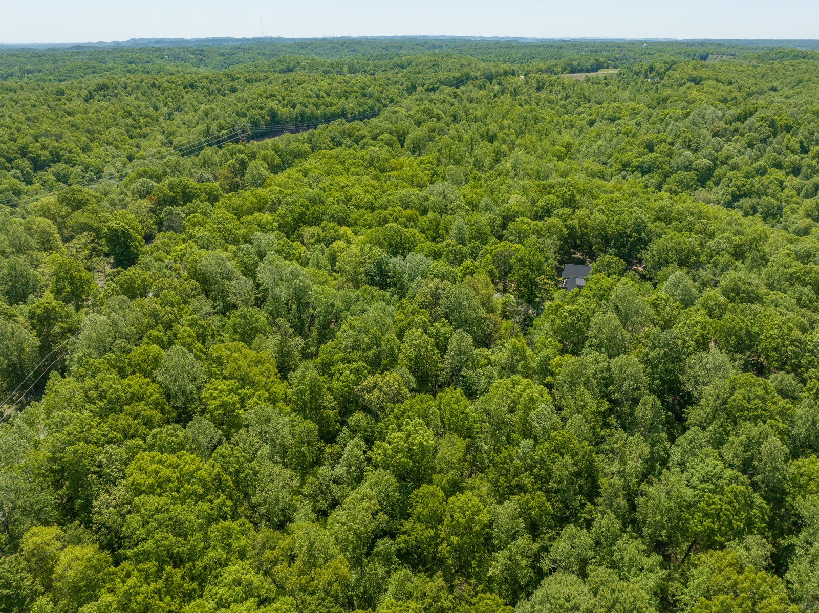 1608 Apache Trail Pegram, TN 37143 - Photo 16 of 19