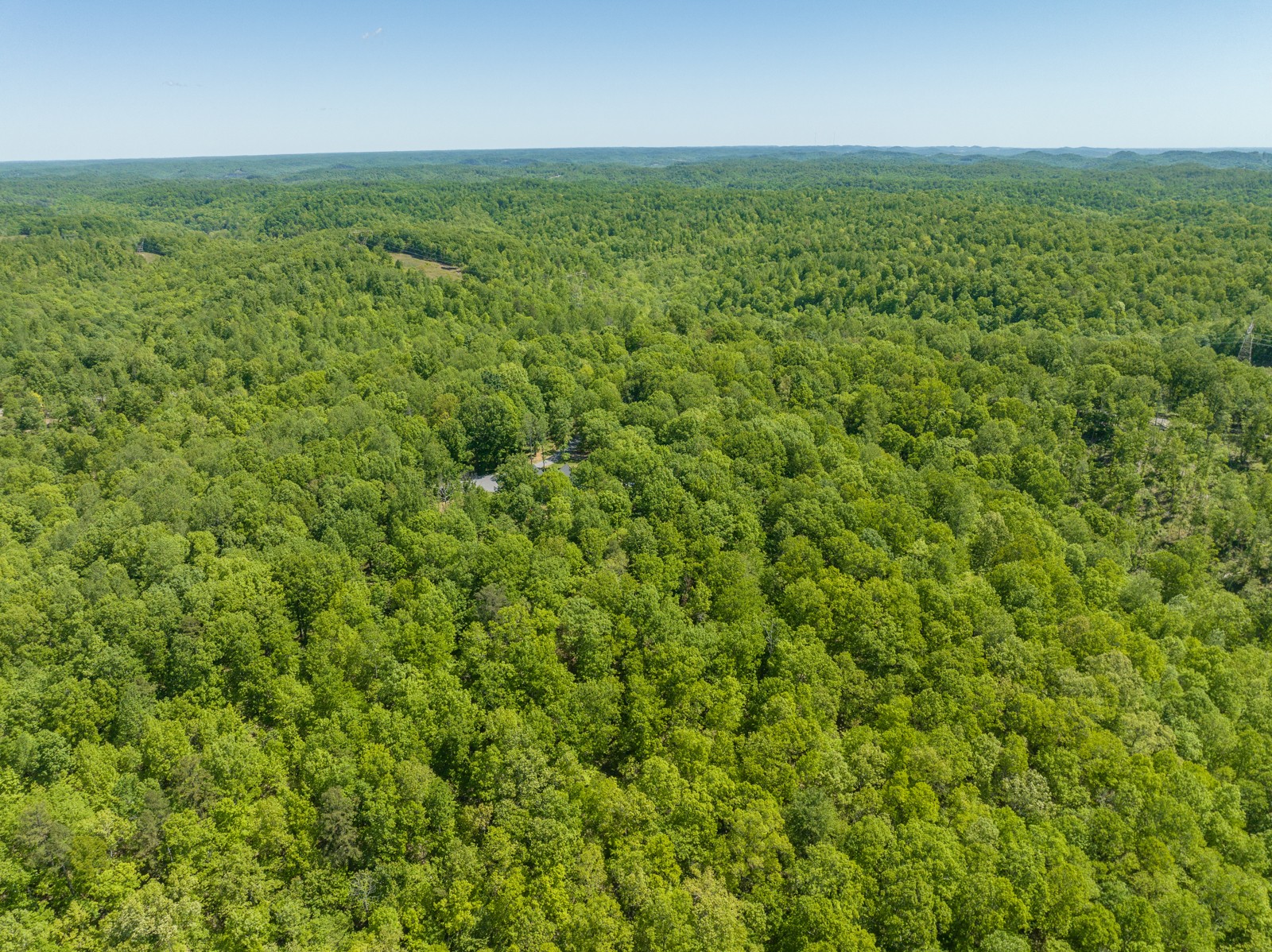 1608 Apache Trail Pegram, TN 37143 - Photo 17 of 19