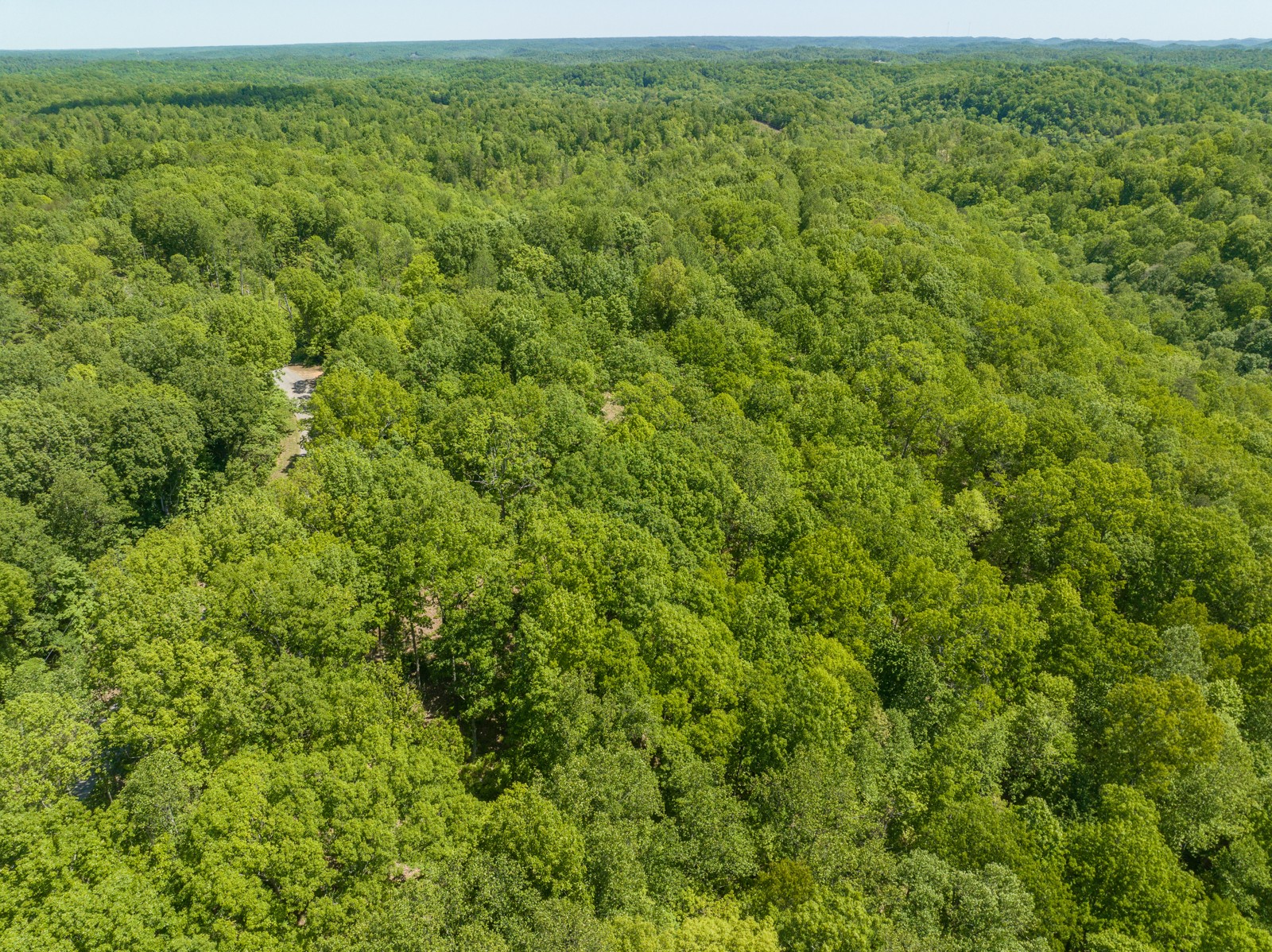 1608 Apache Trail Pegram, TN 37143 - Photo 18 of 19