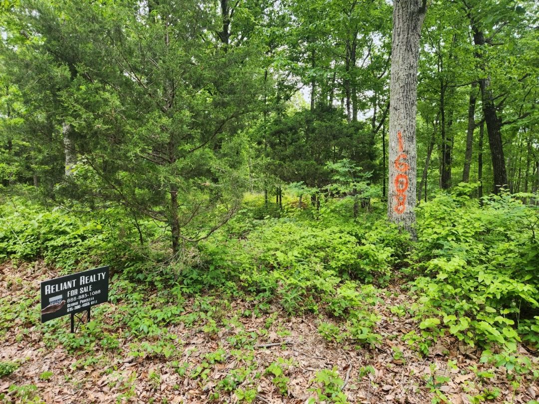 1608 Apache Trail Pegram, TN 37143 - Photo 19 of 19