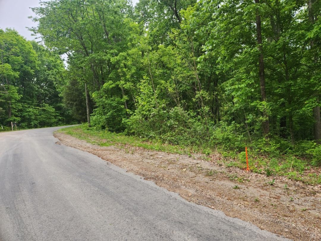 1608 Apache Trail Pegram, TN 37143 - Photo 4 of 19