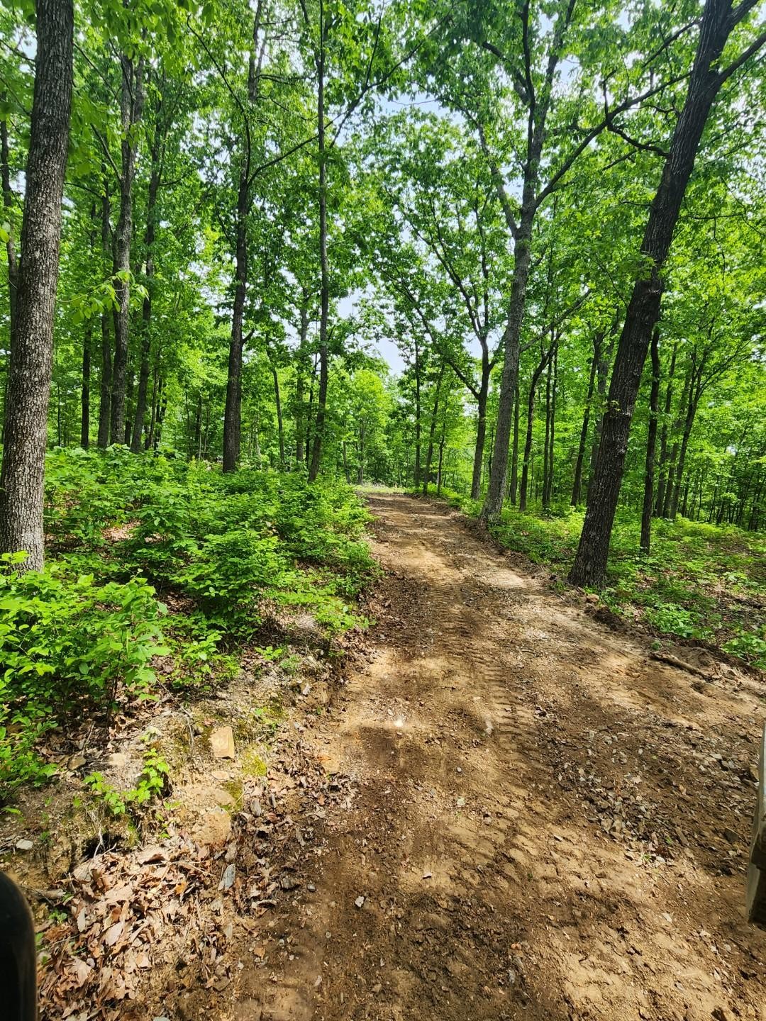 1608 Apache Trail Pegram, TN 37143 - Photo 6 of 19