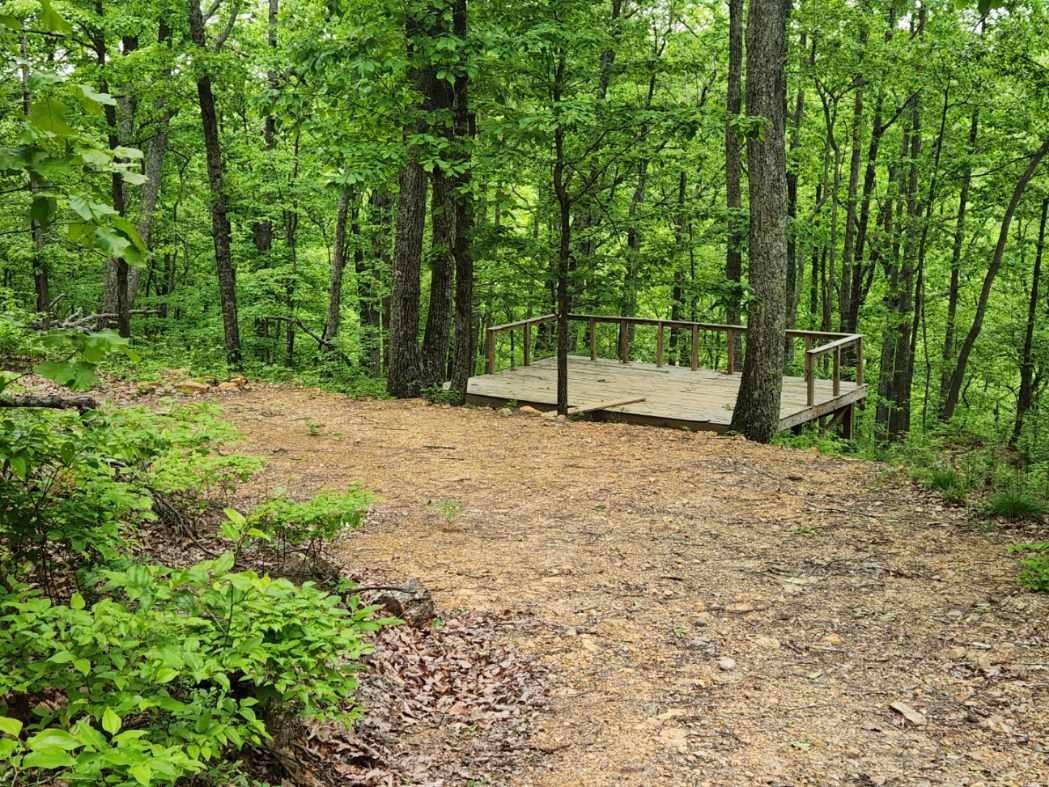 1608 Apache Trail Pegram, TN 37143 - Photo 8 of 19