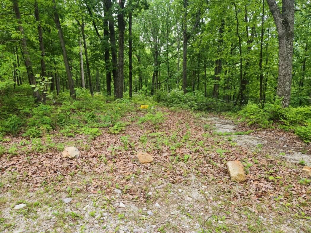 1608 Apache Trail Pegram, TN 37143 - Photo 9 of 19