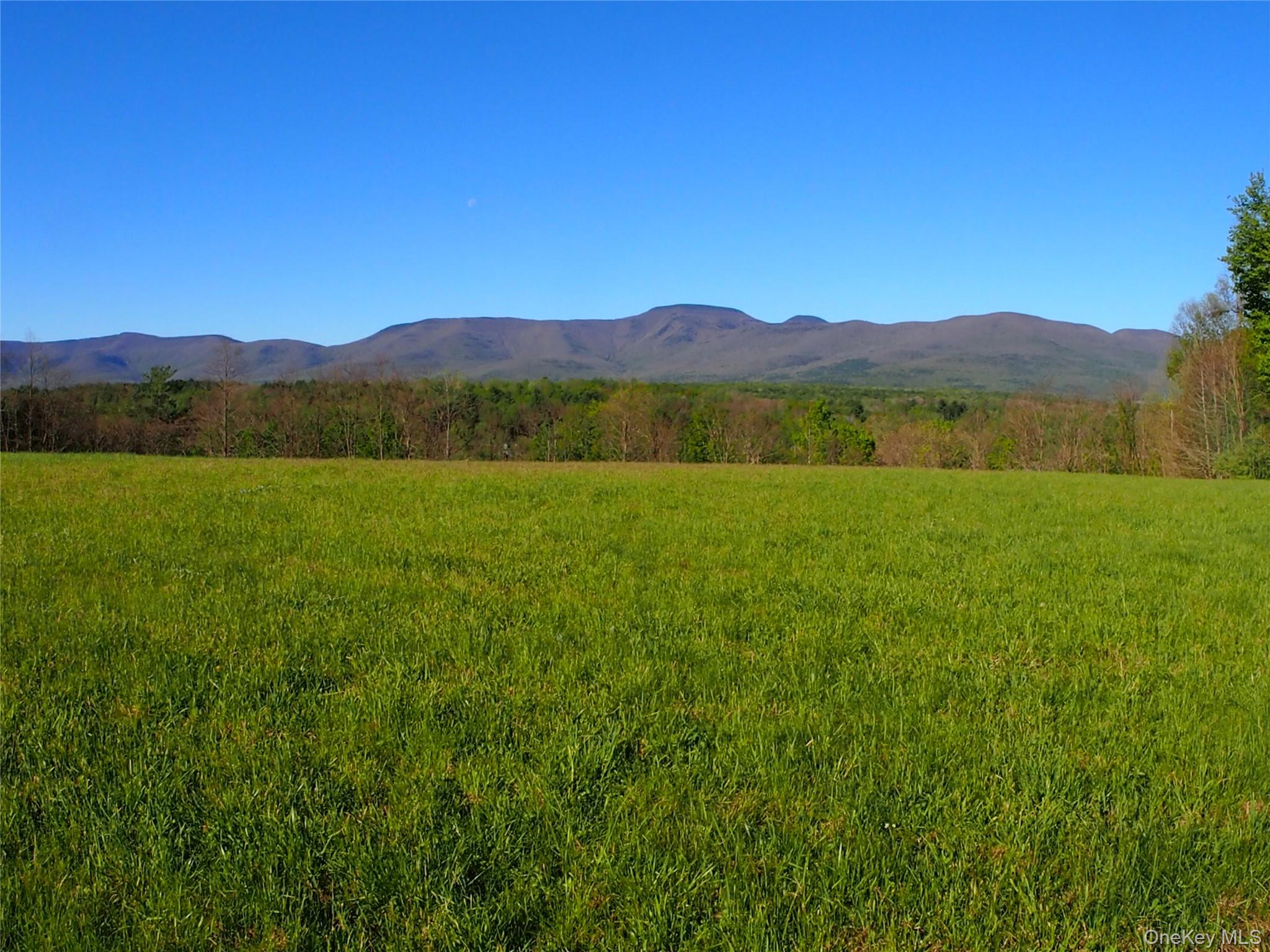 8207 Route 32 Cairo, NY 12413 - Photo 2 of 12 a view of an outdoor space and a mountain view