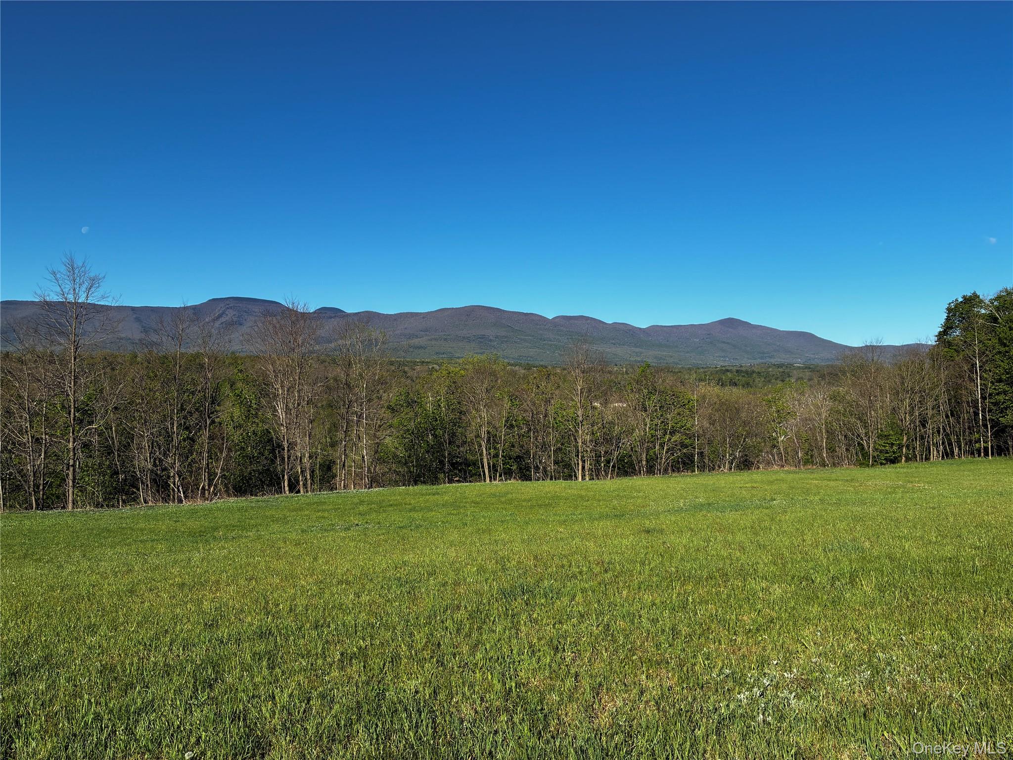 8207 Route 32 Cairo, NY 12413 - Photo 3 of 12 a view of grassy field with mountain