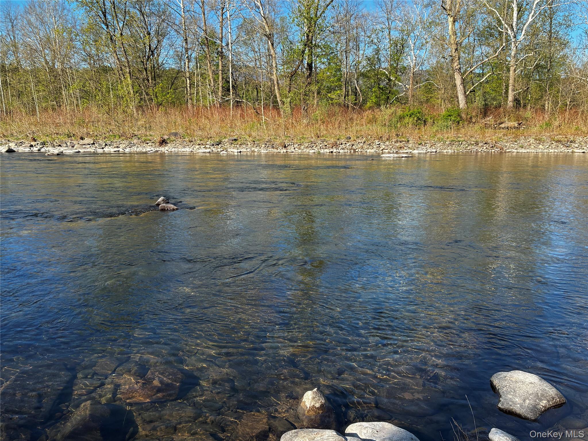 8207 Route 32 Cairo, NY 12413 - Photo 7 of 12