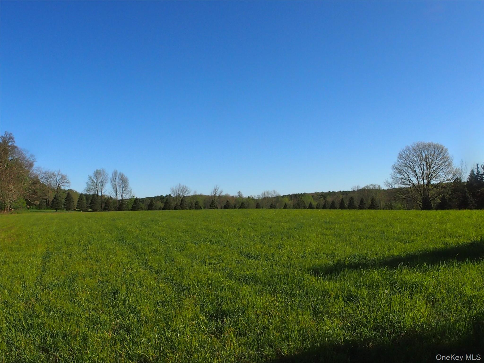 8207 Route 32 Cairo, NY 12413 - Photo 8 of 12 a view of a field and a lake view
