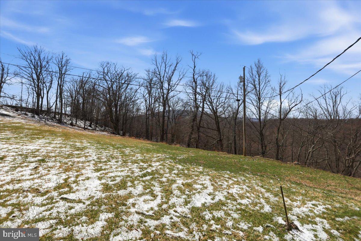 1629 Dahlgren Road Middletown, MD 21769 - Photo 28 of 52