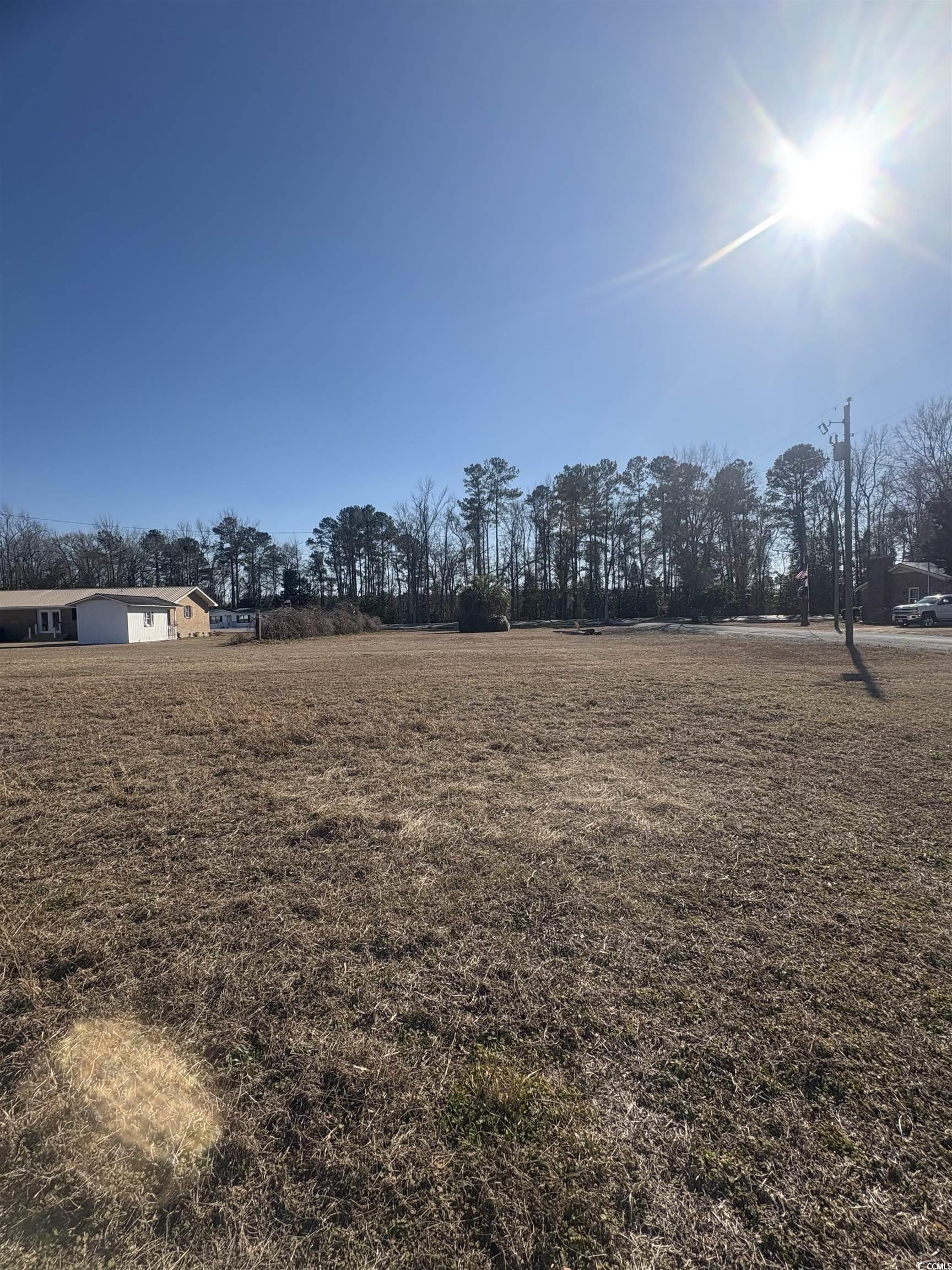 1160 Knotty Branch Road Conway, SC 29527 - Photo 12 of 12 View of yard