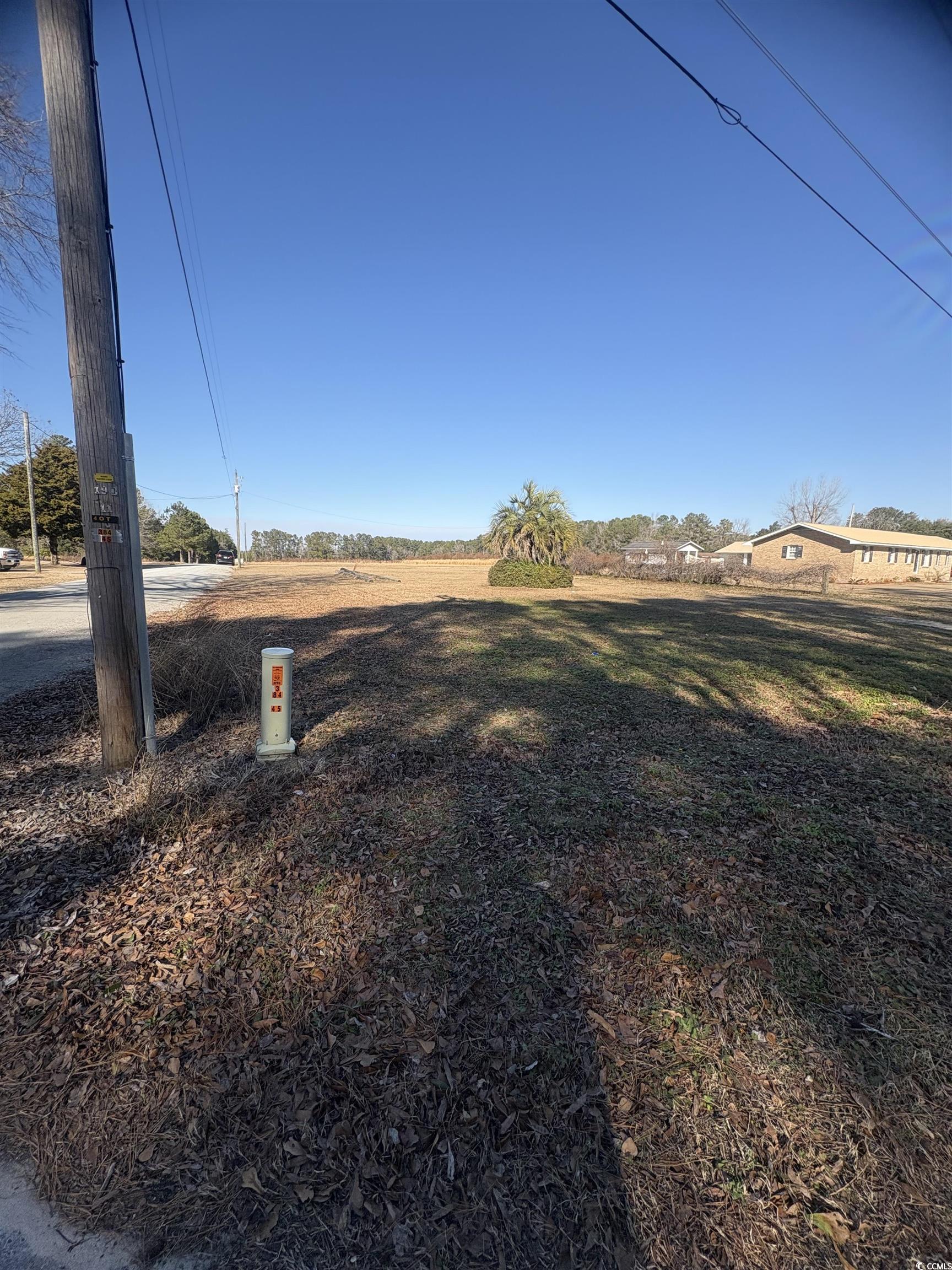 1160 Knotty Branch Road Conway, SC 29527 - Photo 3 of 12 View of yard with a rural view