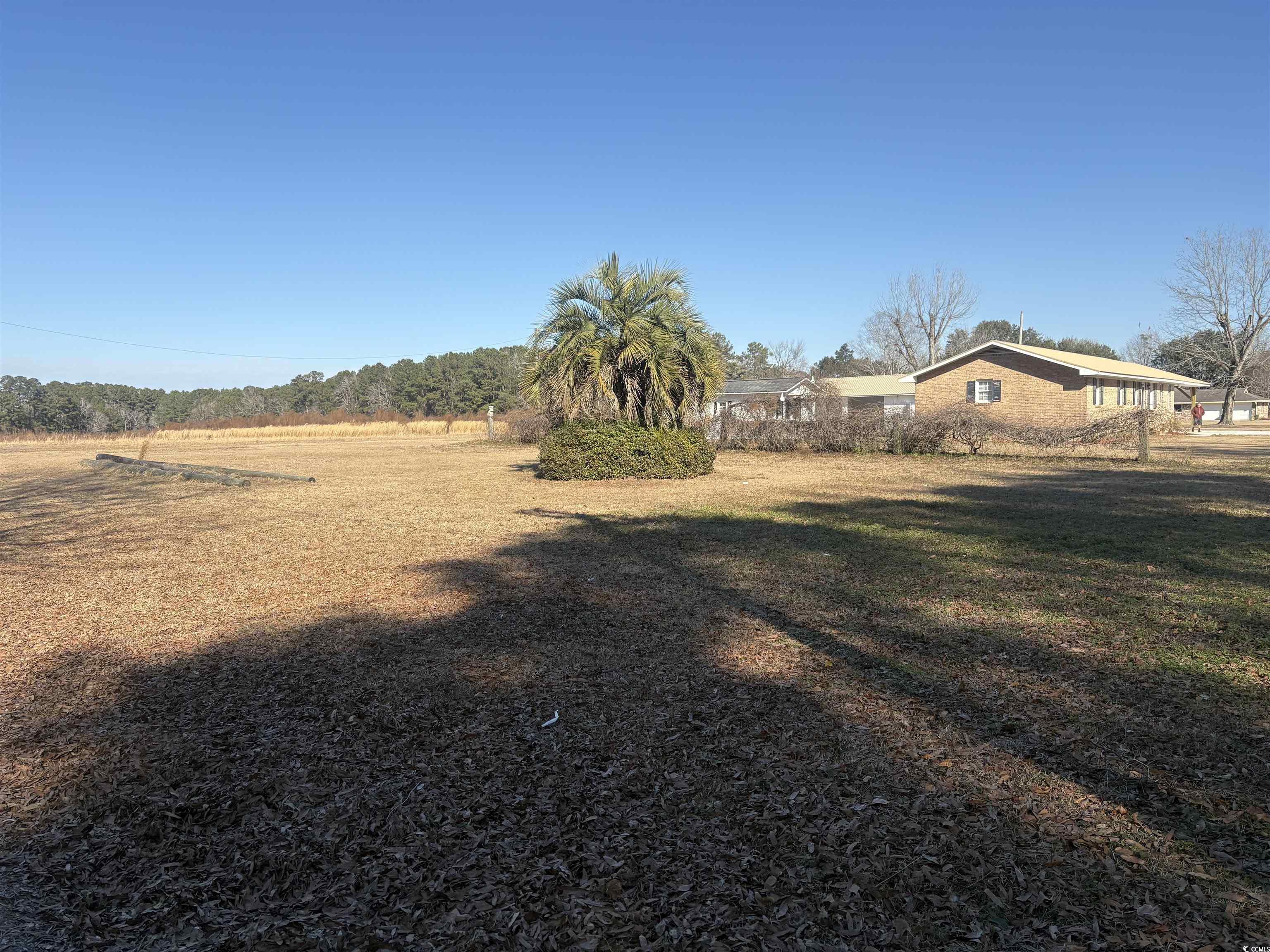 1160 Knotty Branch Road Conway, SC 29527 - Photo 5 of 12 View of yard featuring a rural view