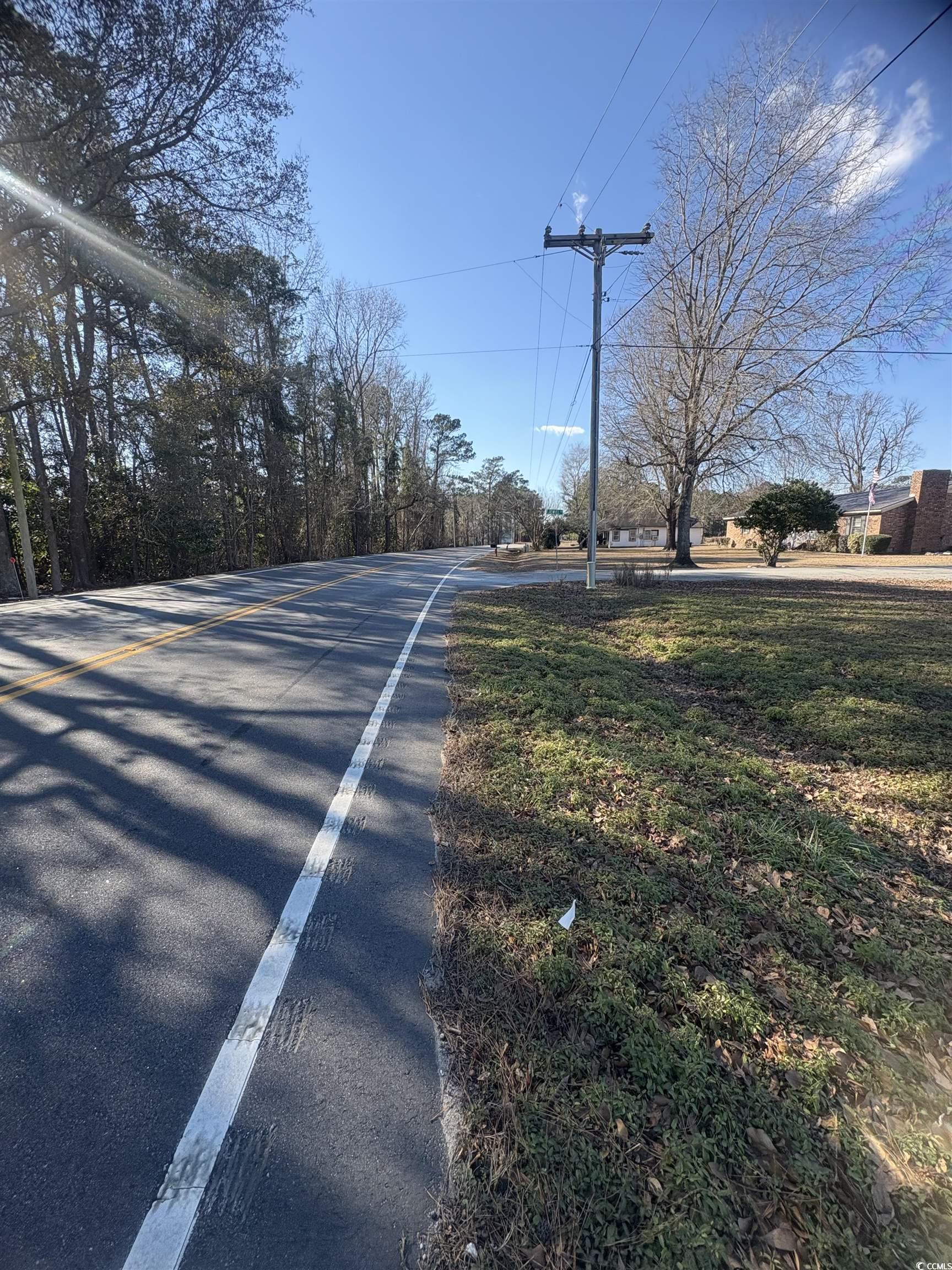 1160 Knotty Branch Road Conway, SC 29527 - Photo 7 of 12 View of road