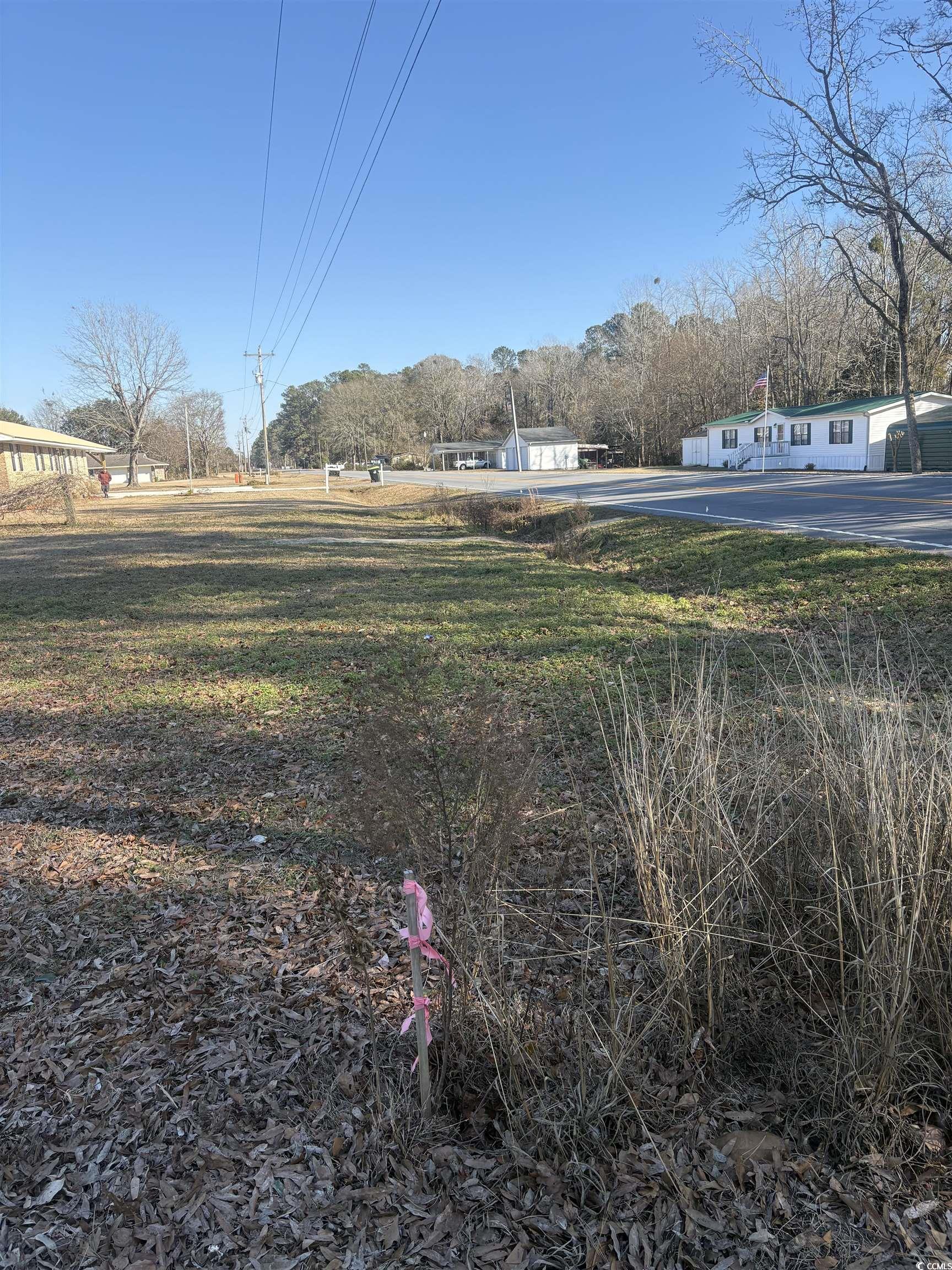 1160 Knotty Branch Road Conway, SC 29527 - Photo 8 of 12 View of yard