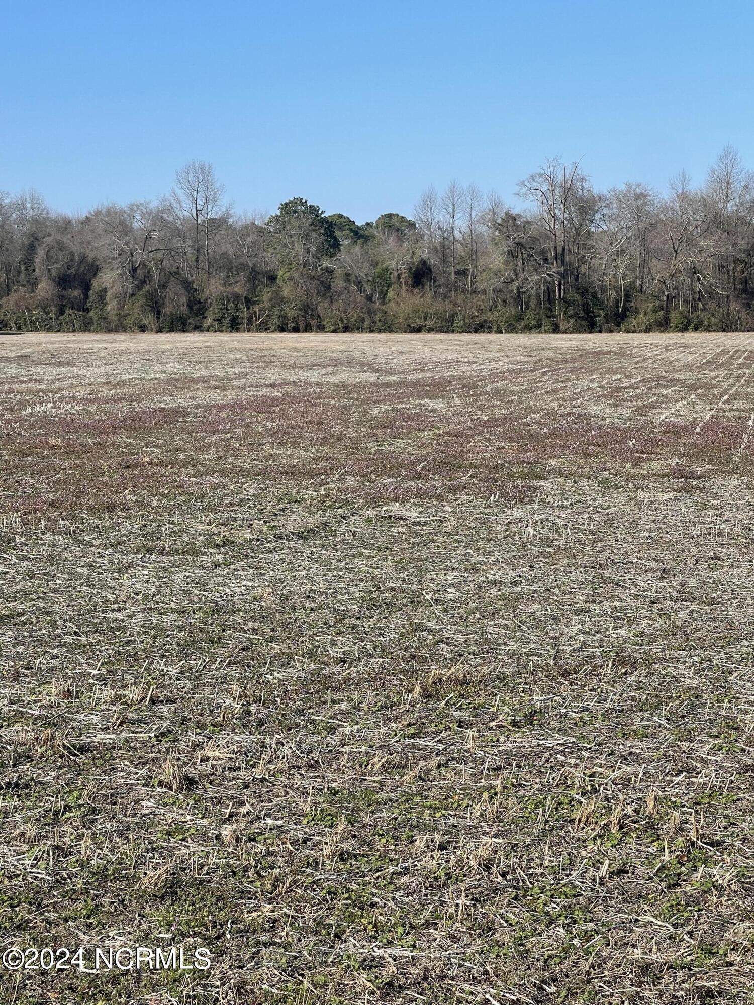0 Duplin County Road Pink Hill, NC 28572 - Photo 2 of 14 256 Duplin County Road