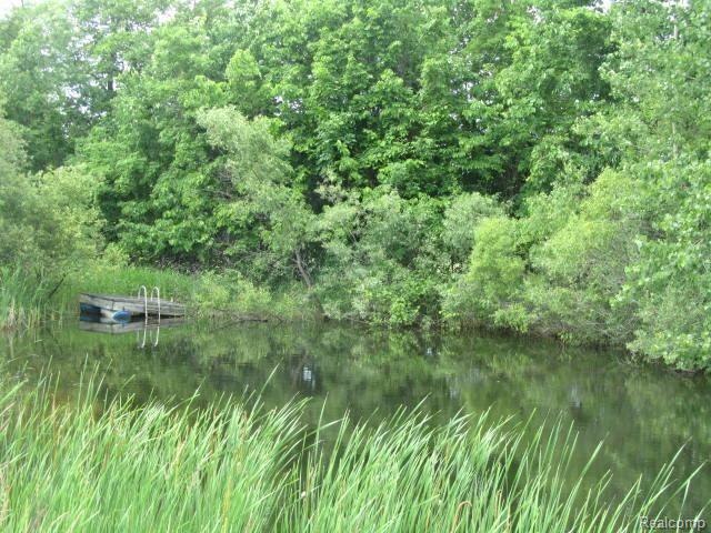 1269 Lathrop Road Allenton, MI 48002 - Photo 20 of 20 2014-05-26 23.01