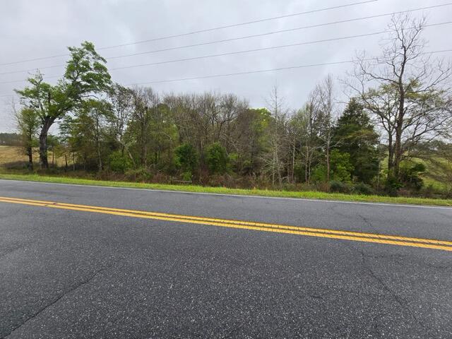 0 Ward Road DeFuniak Springs, FL 32433 - Photo 2 of 4 PHOTO-2024-03-26-09-51-37