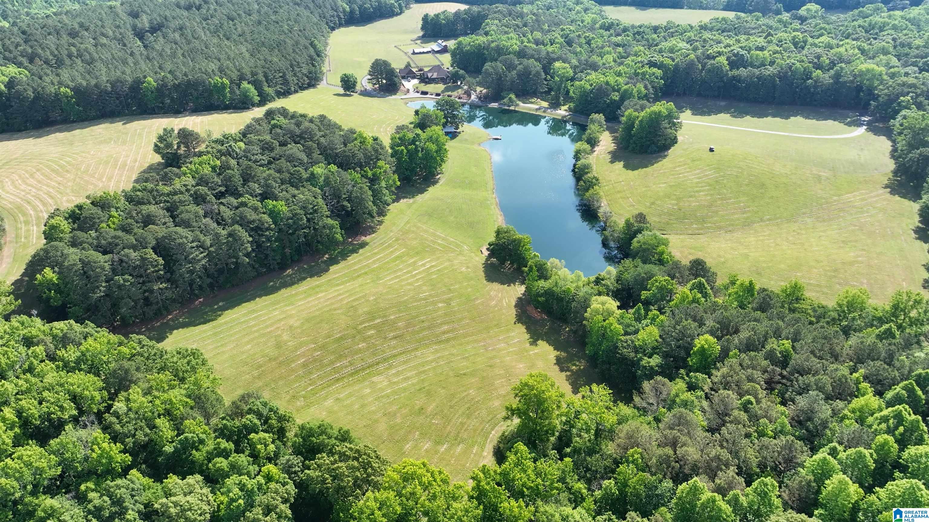 5145 Pine Mountain Road Remlap, AL 35133 - Photo 94 of 100