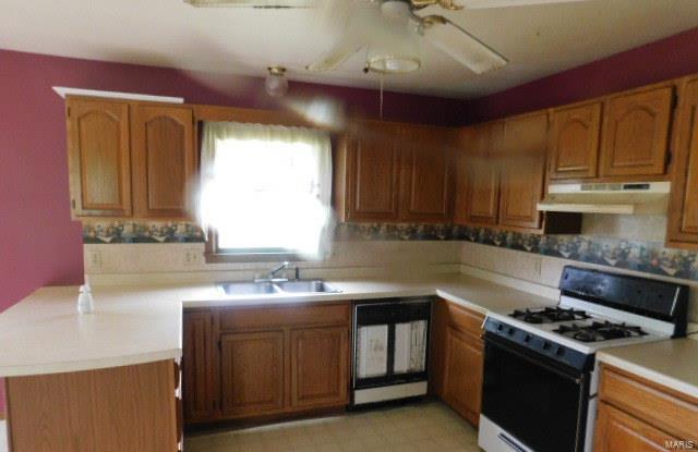 204 South Public Road Fieldon, IL 62031 - Photo 5 of 12