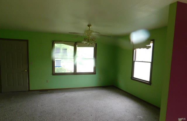 204 South Public Road Fieldon, IL 62031 - Photo 6 of 12
