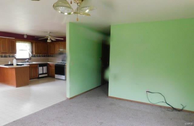 204 South Public Road Fieldon, IL 62031 - Photo 7 of 12