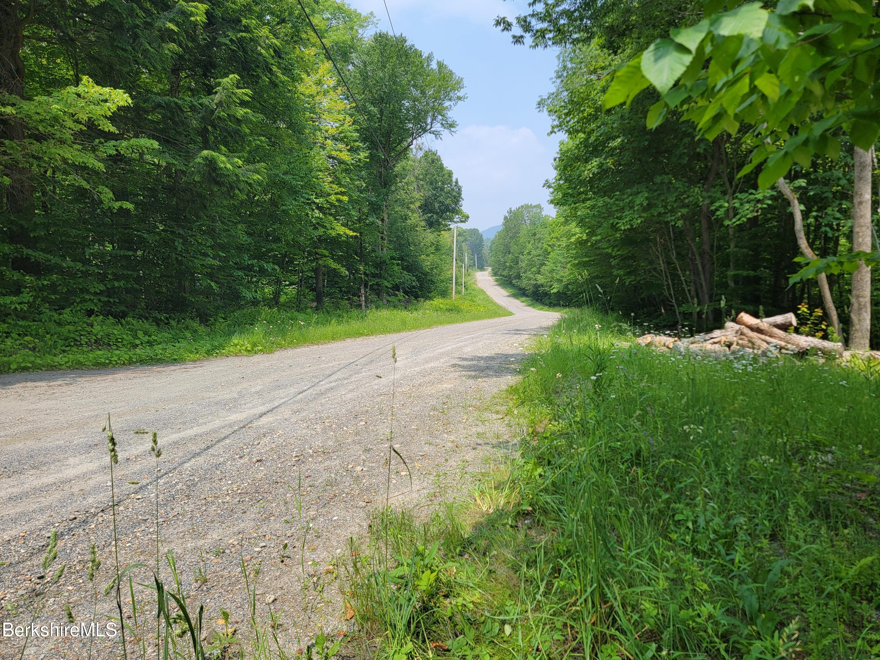 Sparrow Drive Stamford, VT 05352 - Photo 17 of 41 a view of backyard with green space