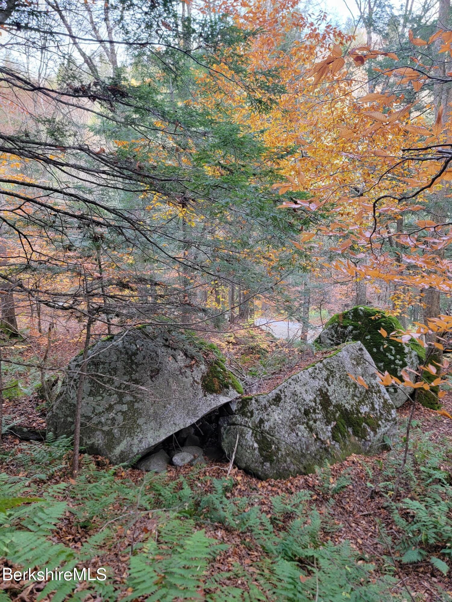 Sparrow Drive Stamford, VT 05352 - Photo 18 of 41 a view of a yard with a tree
