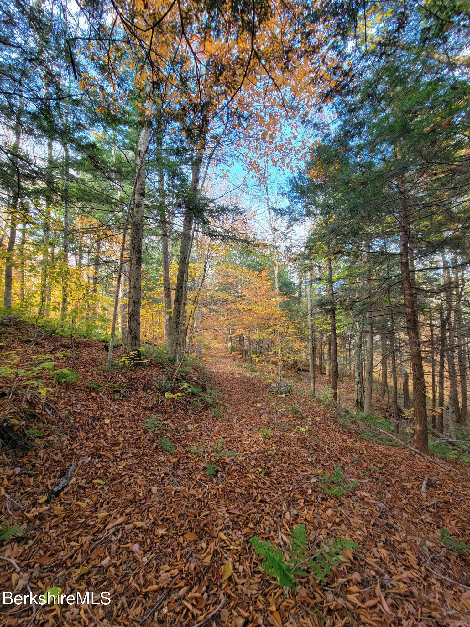 Sparrow Drive Stamford, VT 05352 - Photo 19 of 41 a backyard of a house with lots of green space
