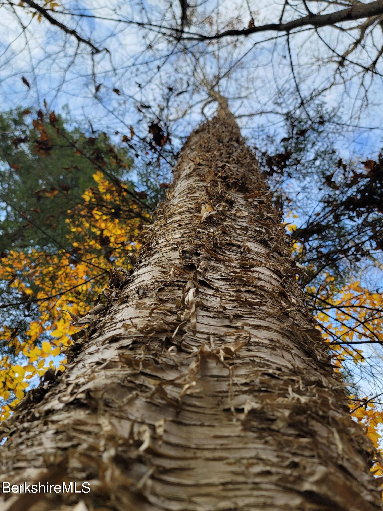 Sparrow Drive Stamford, VT 05352 - Photo 21 of 41 a view of outdoor space
