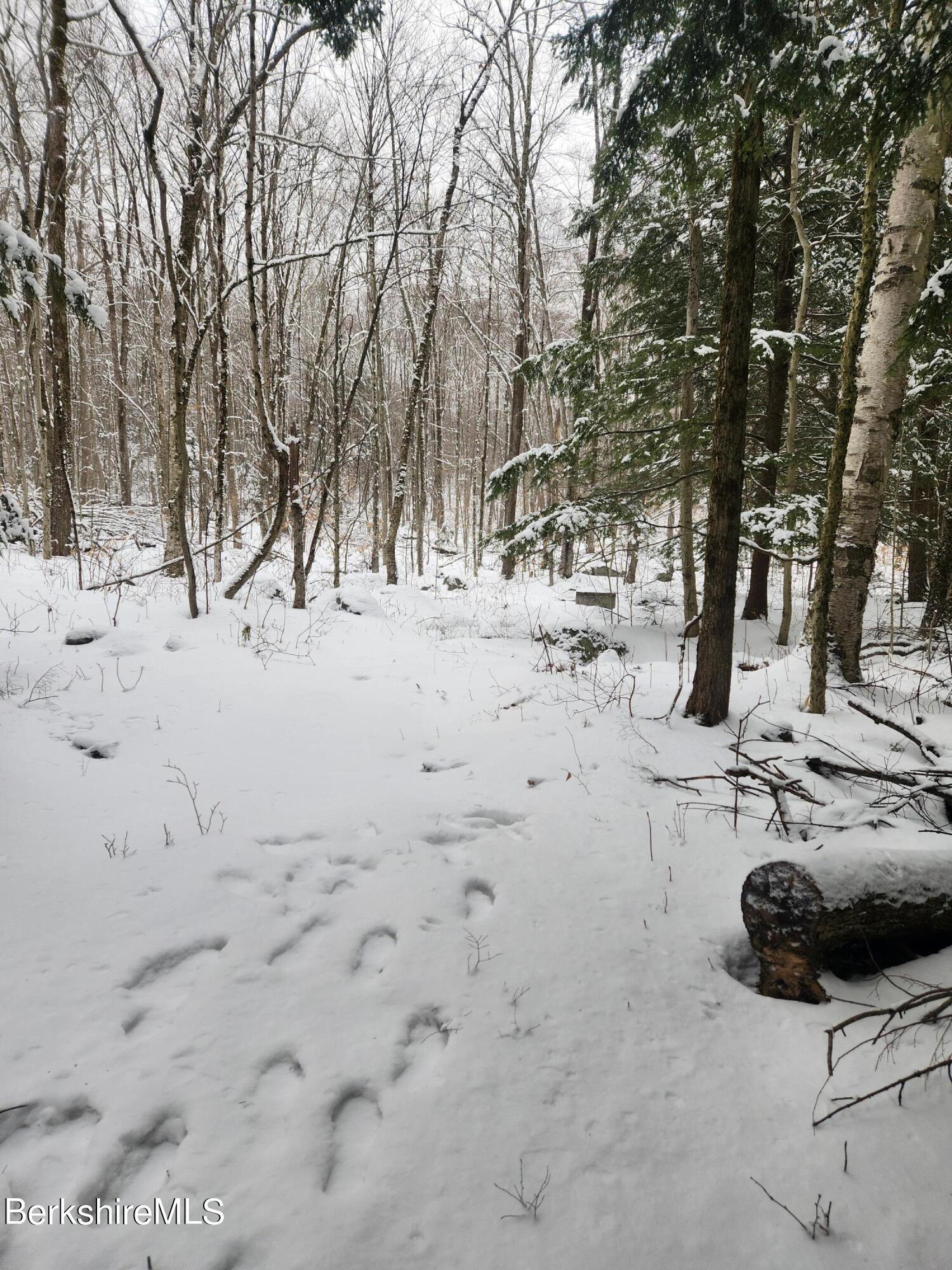 Sparrow Drive Stamford, VT 05352 - Photo 23 of 41 a view of yard covered with snow in outdoor space