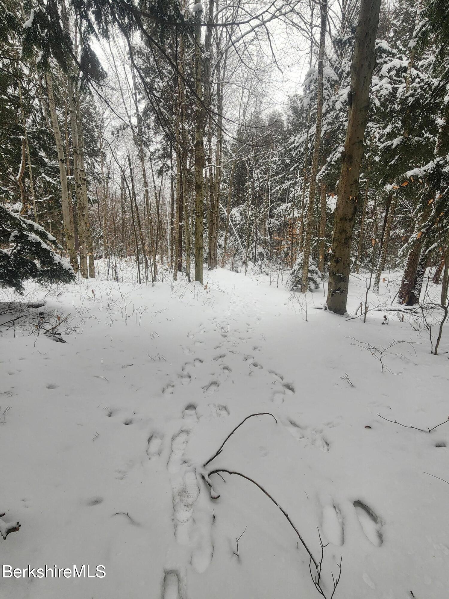 Sparrow Drive Stamford, VT 05352 - Photo 24 of 41 a view of a yard with a snow