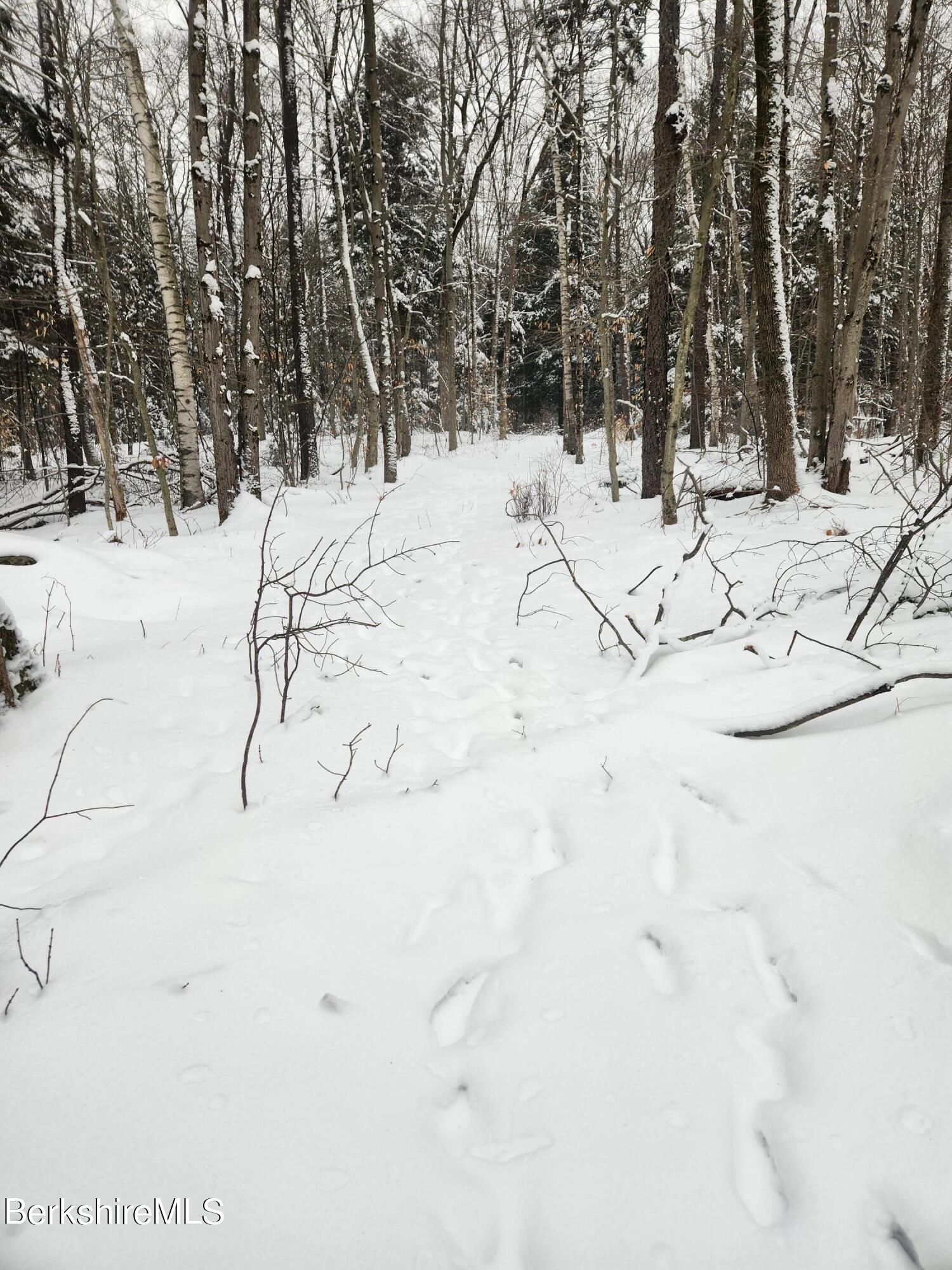 Sparrow Drive Stamford, VT 05352 - Photo 25 of 41 a view of a snow on the beach