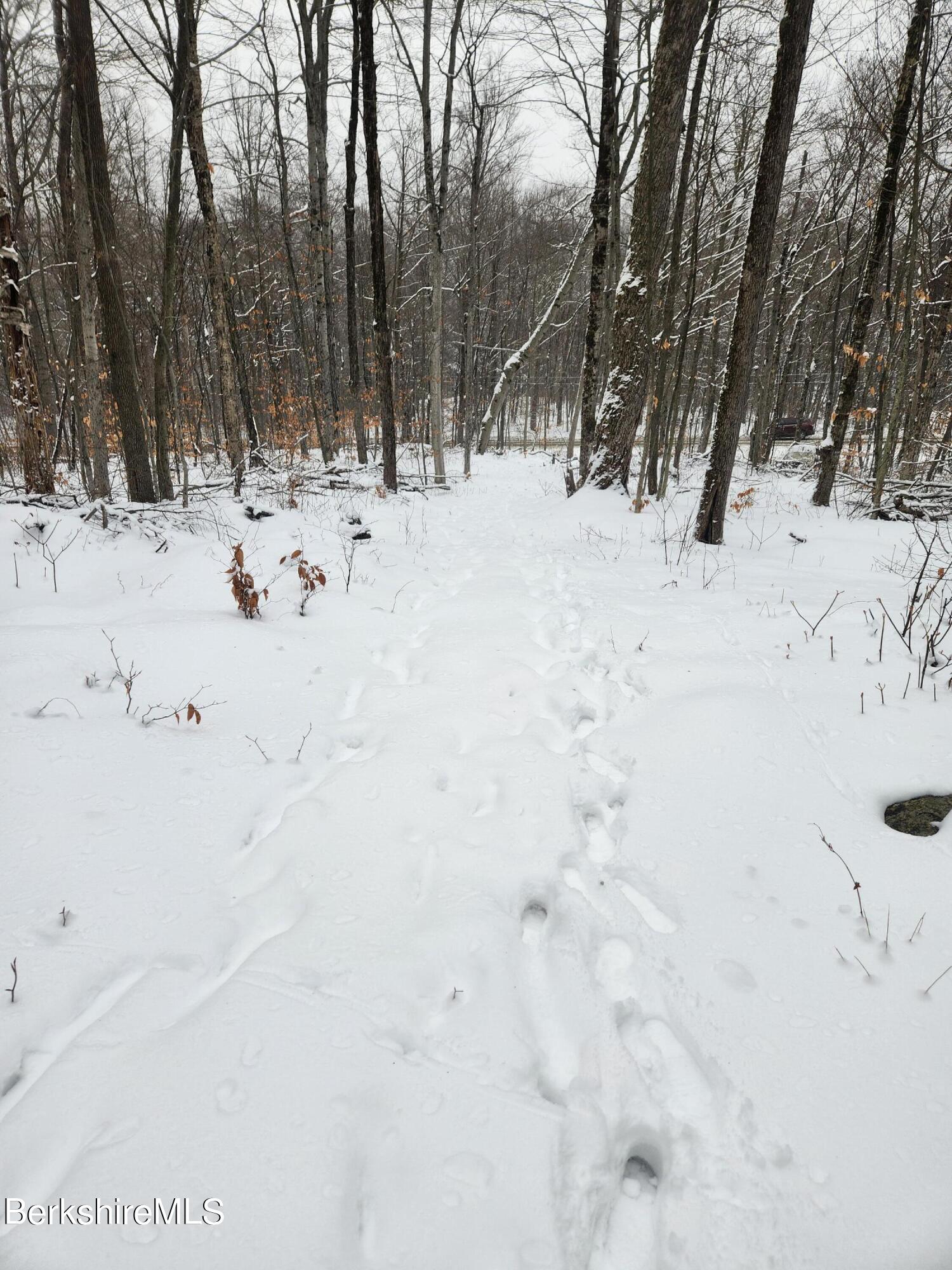 Sparrow Drive Stamford, VT 05352 - Photo 26 of 41 a view of snow on the side of a road