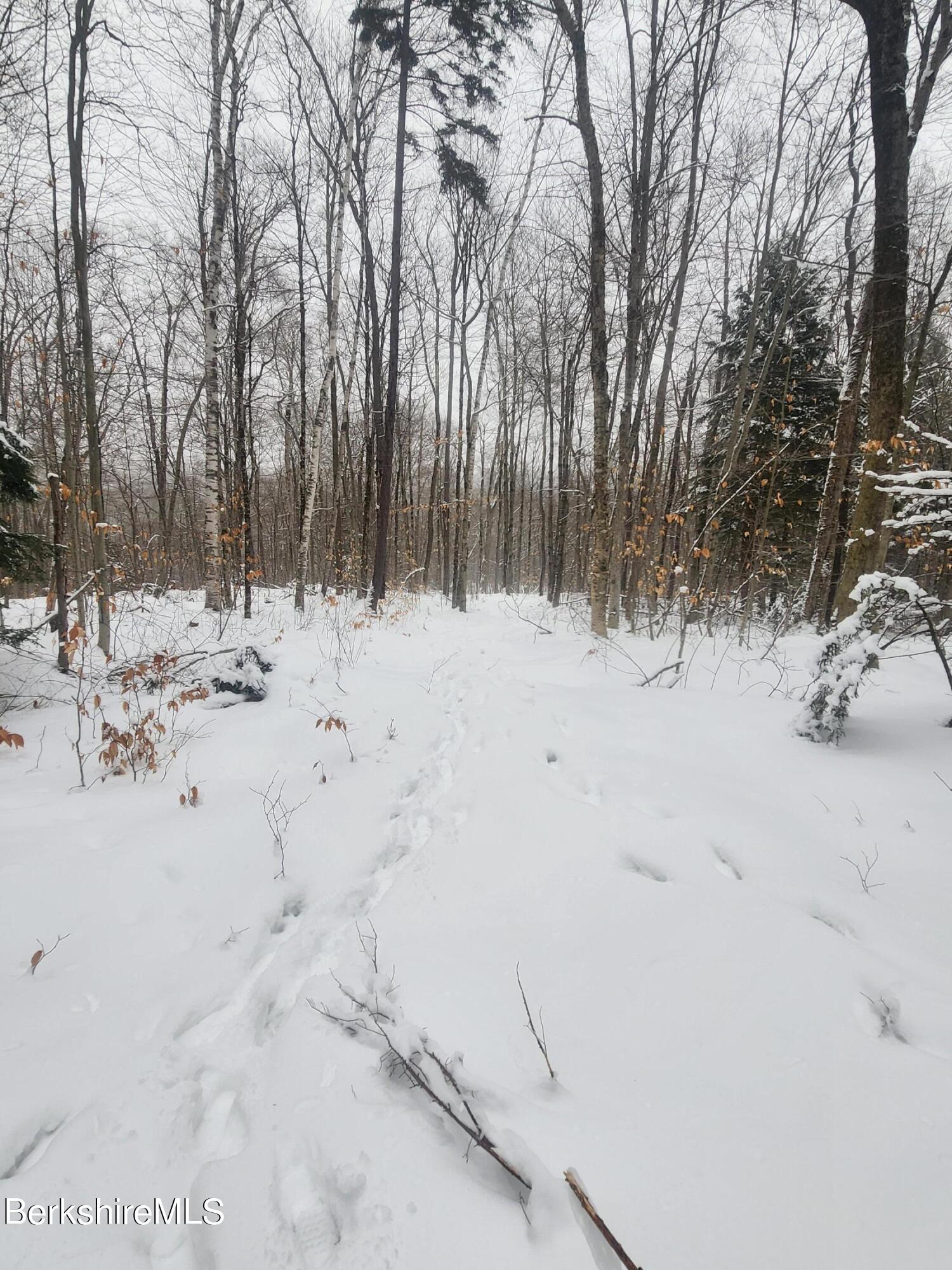 Sparrow Drive Stamford, VT 05352 - Photo 27 of 41 a view of a covered with snow in the background