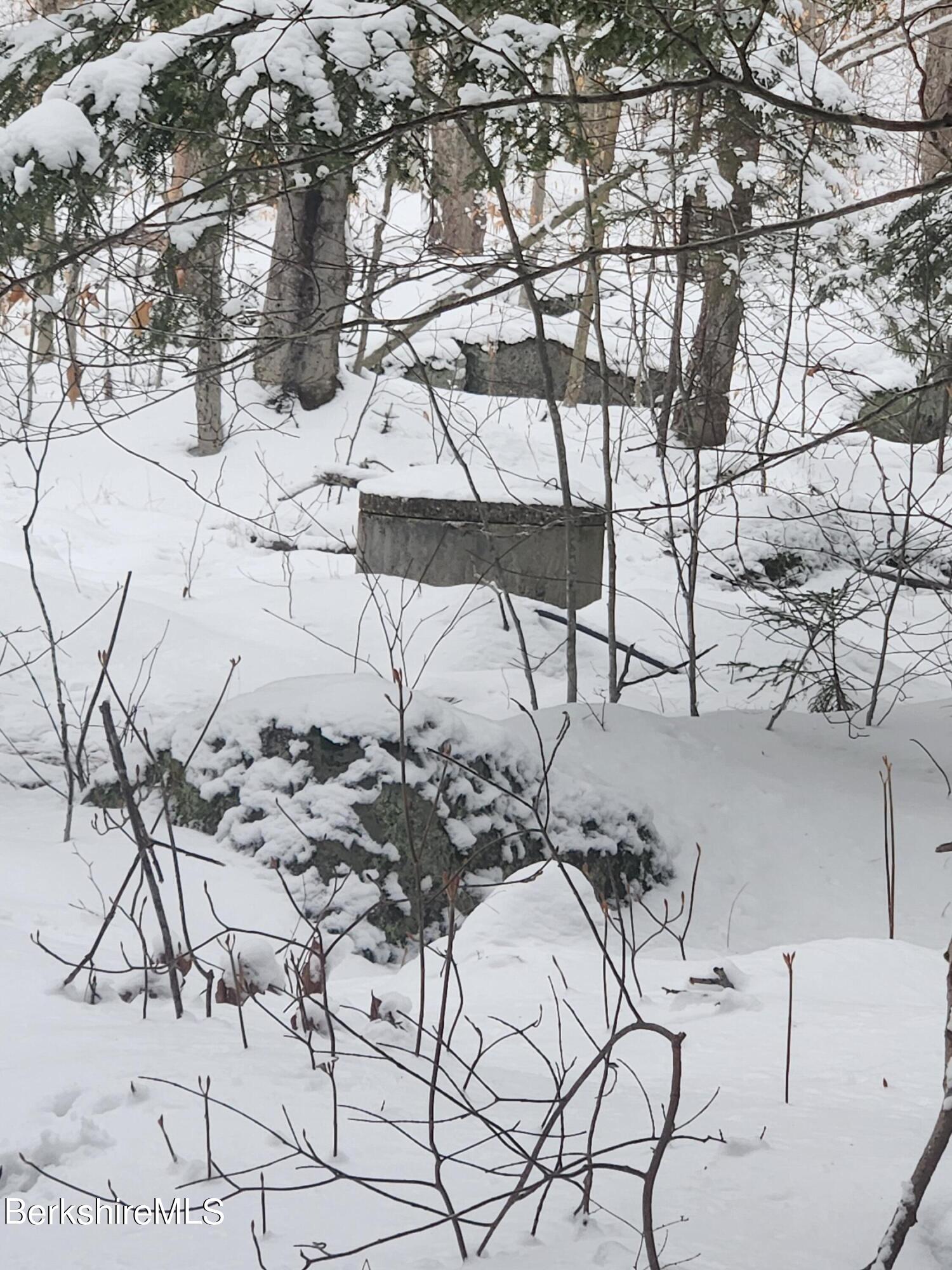 Sparrow Drive Stamford, VT 05352 - Photo 28 of 41 a picture of trees with covered with snow in front of it