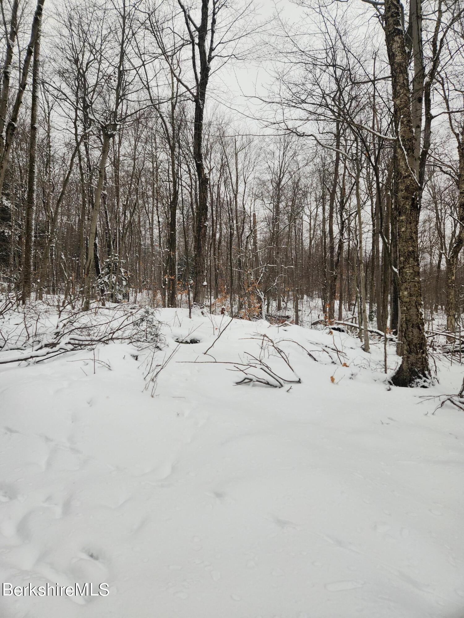 Sparrow Drive Stamford, VT 05352 - Photo 30 of 41 a view of the snow on the road