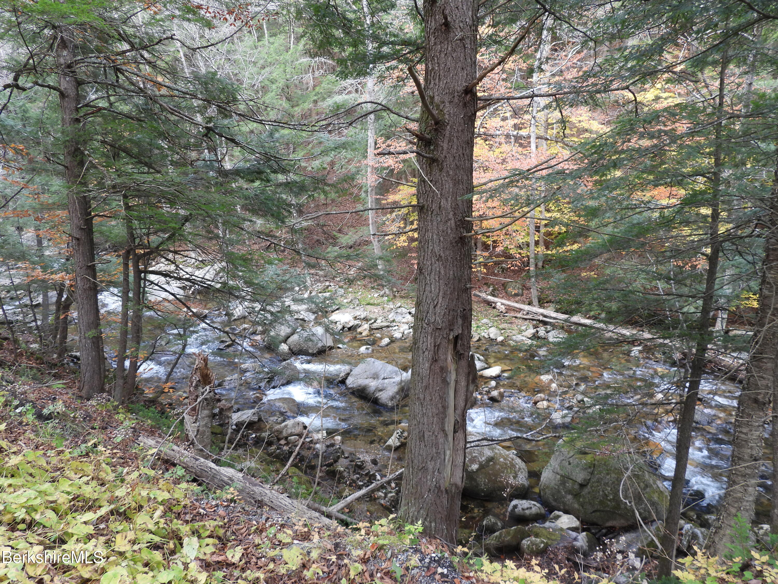 Sparrow Drive Stamford, VT 05352 - Photo 3 of 41 a view of a tree in a yard