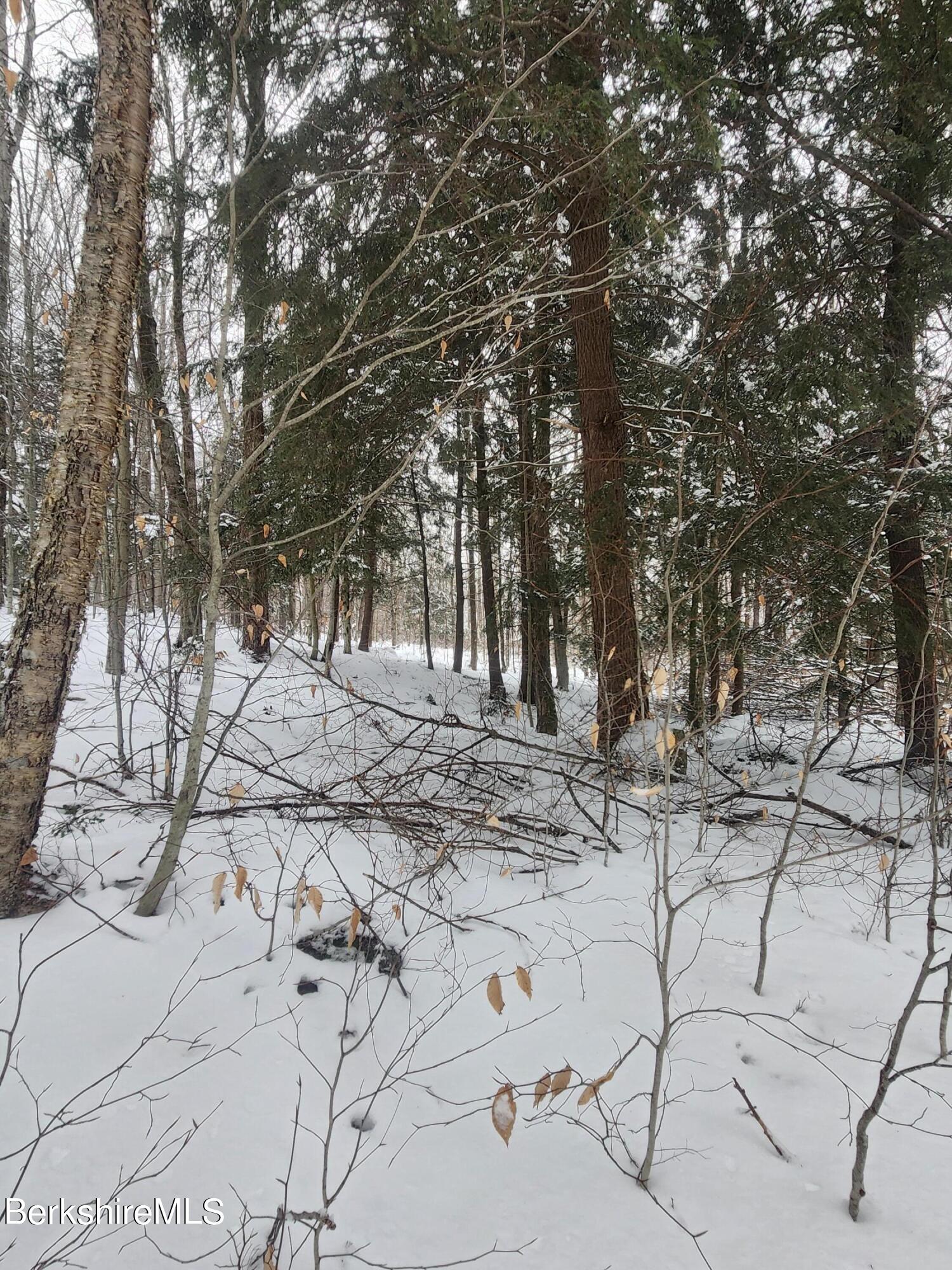 Sparrow Drive Stamford, VT 05352 - Photo 31 of 41 a view of outdoor space with a lake view