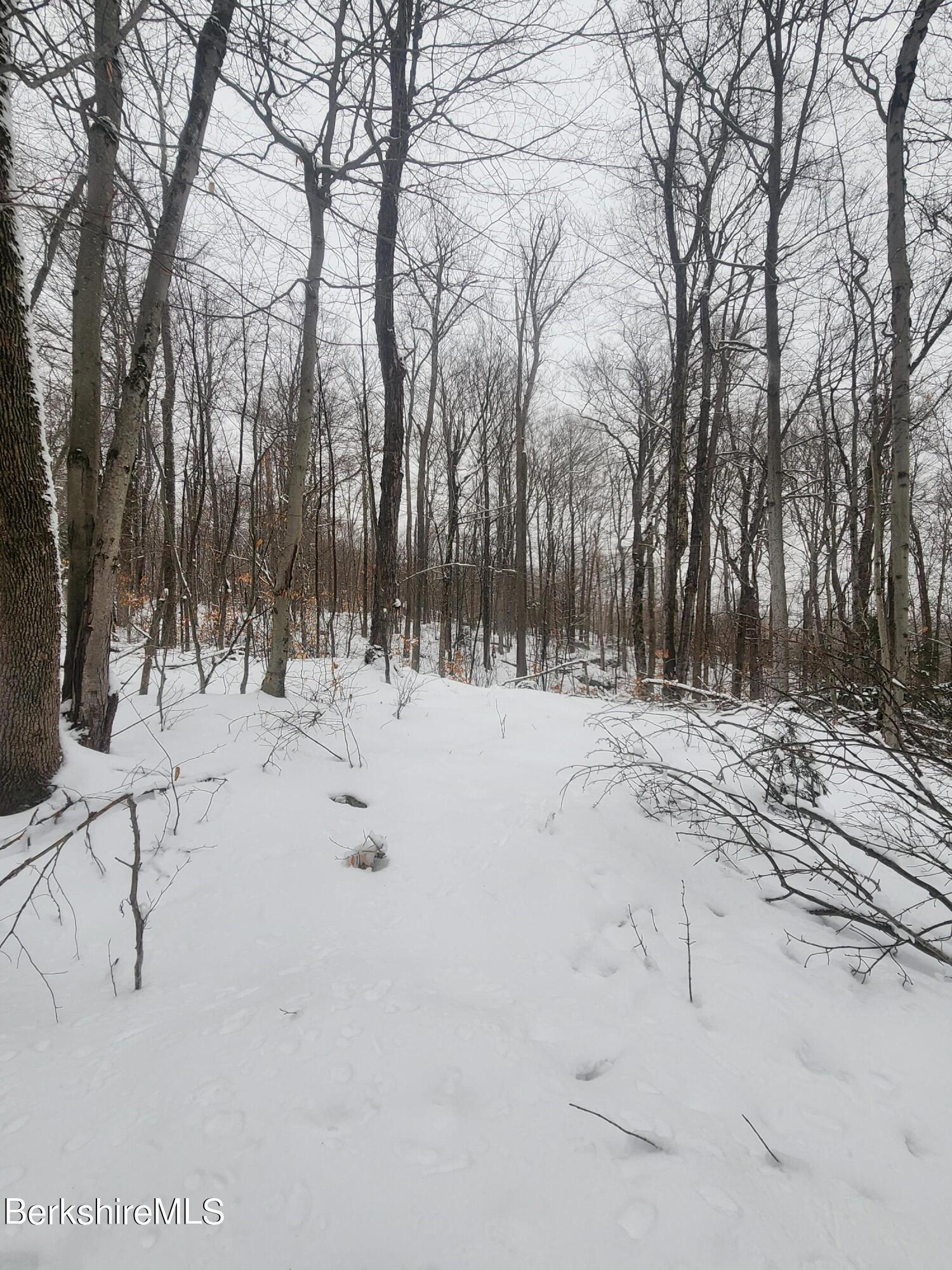 Sparrow Drive Stamford, VT 05352 - Photo 33 of 41 a view of snow with trees