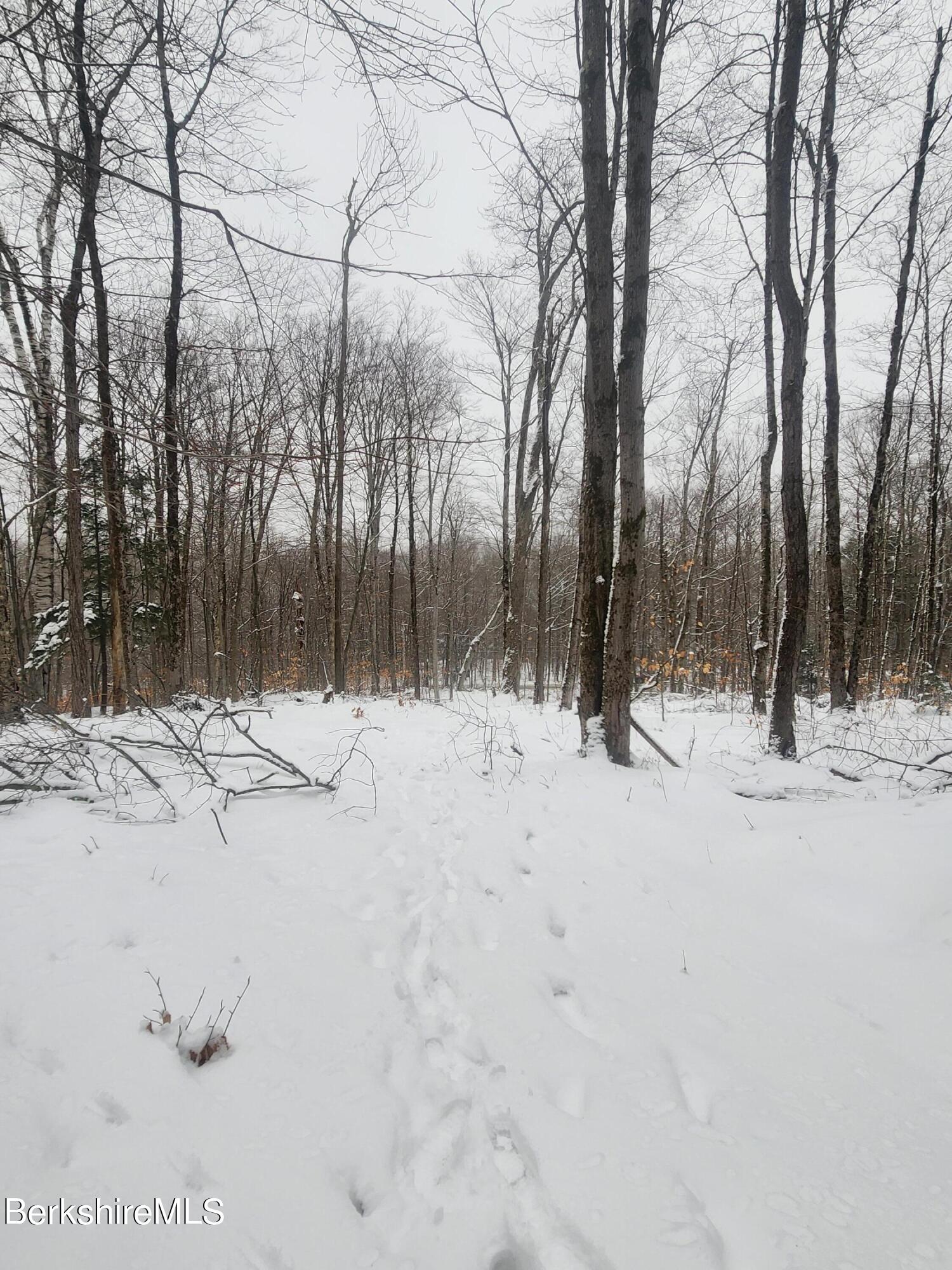 Sparrow Drive Stamford, VT 05352 - Photo 34 of 41 a view of snow on the road