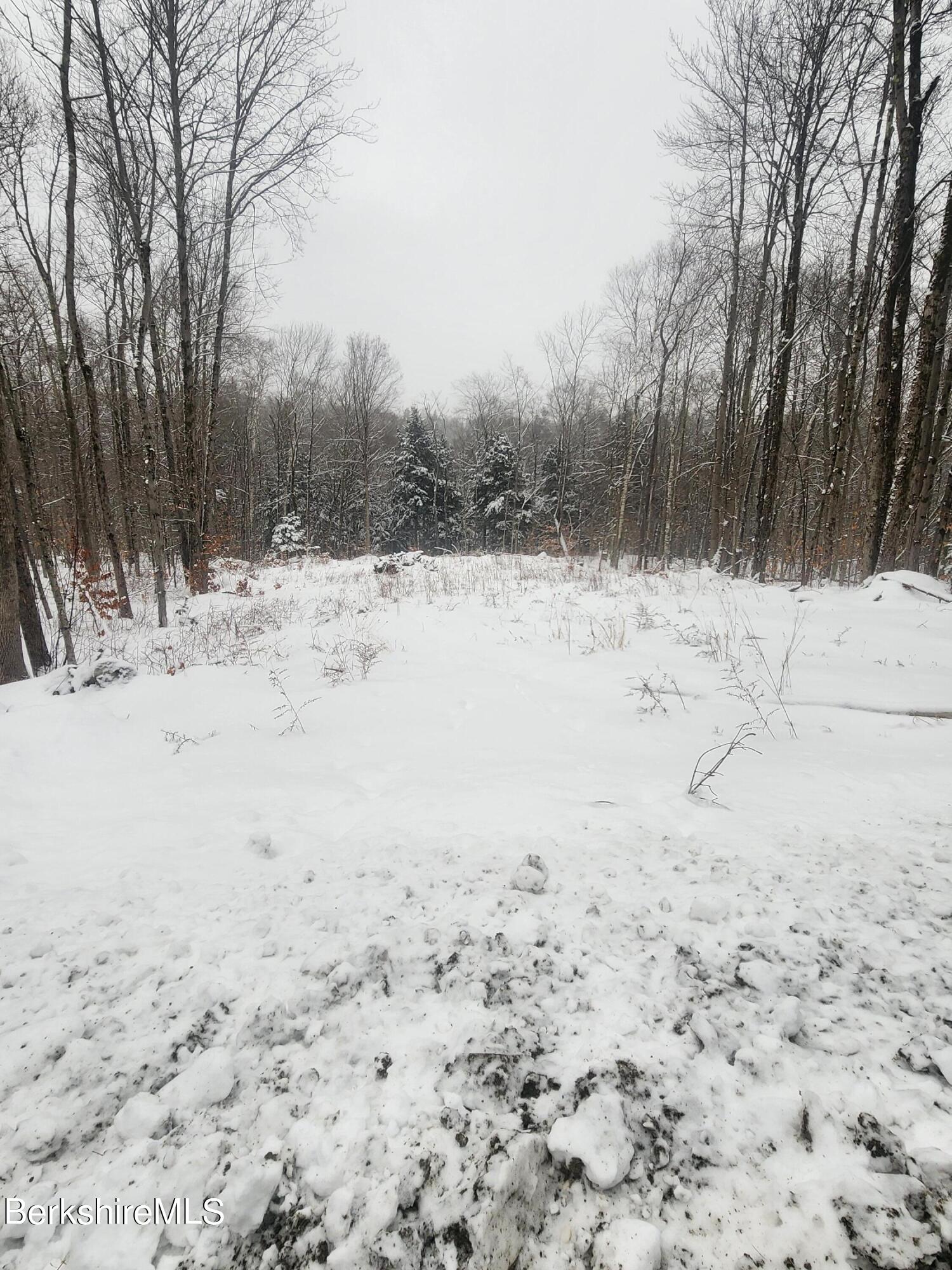 Sparrow Drive Stamford, VT 05352 - Photo 39 of 41 a view of snow on the beach