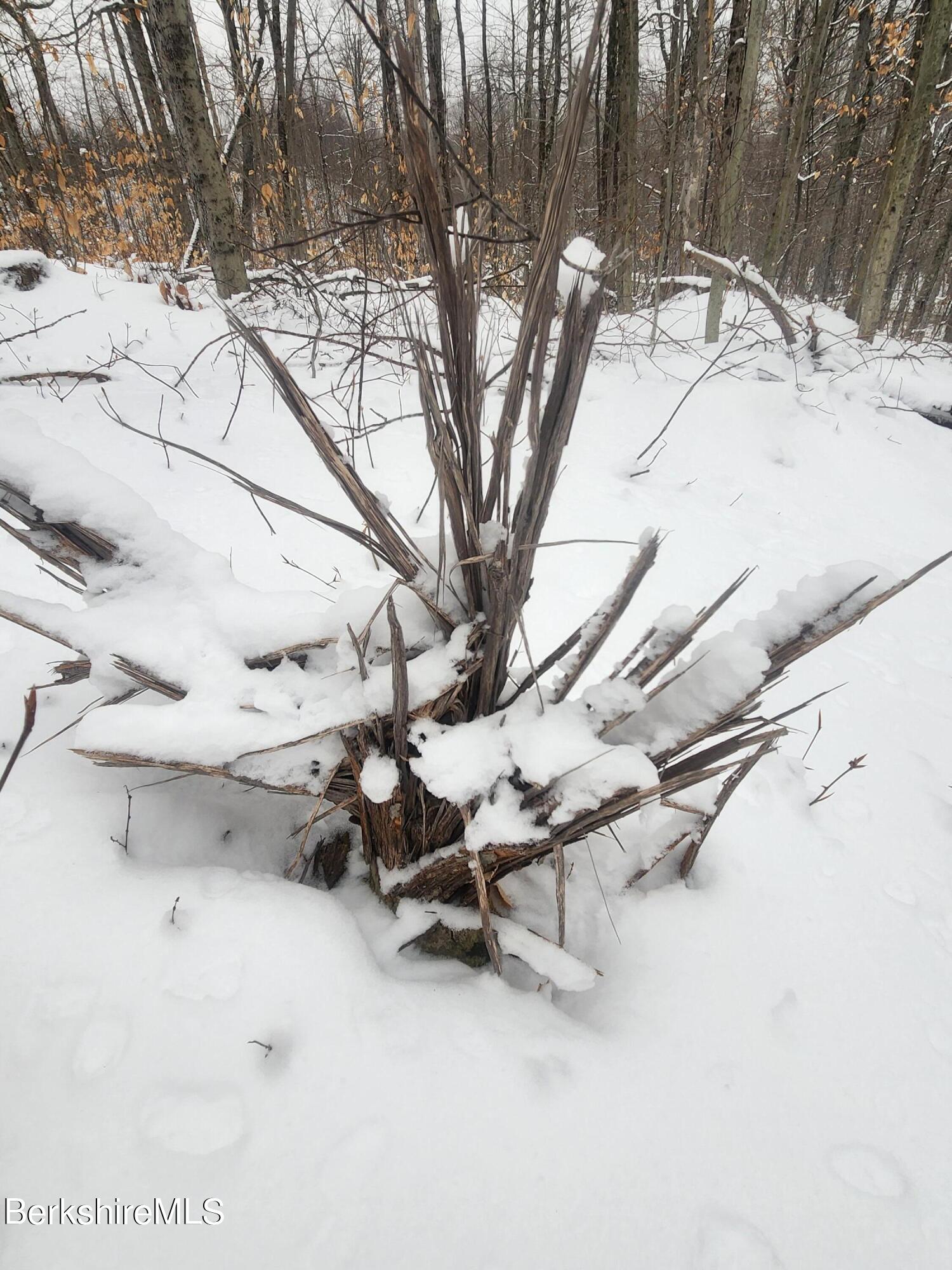 Sparrow Drive Stamford, VT 05352 - Photo 41 of 41 a view of outdoor space with seating area