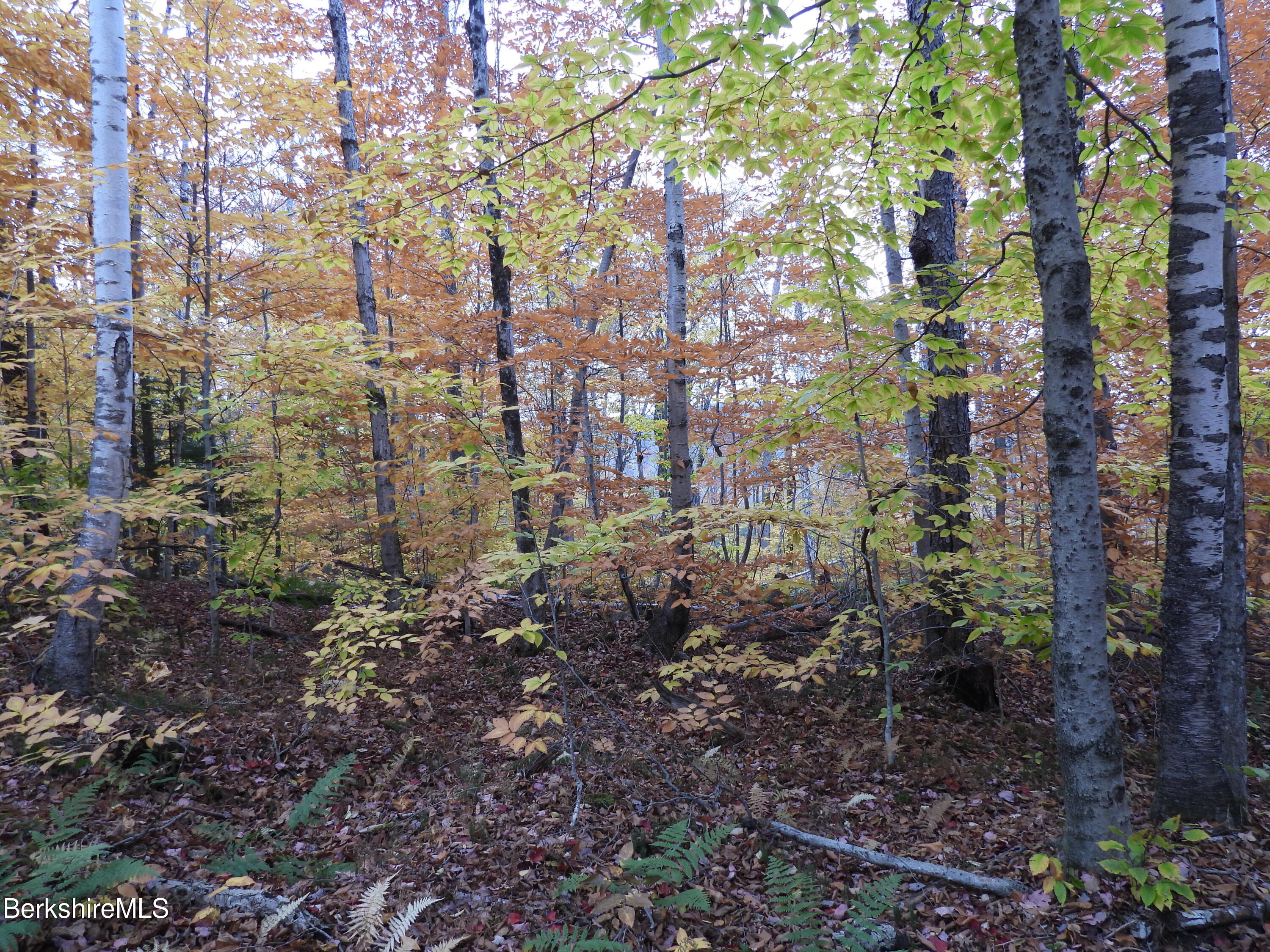 Sparrow Drive Stamford, VT 05352 - Photo 6 of 41 a backyard of a house with lots of green space