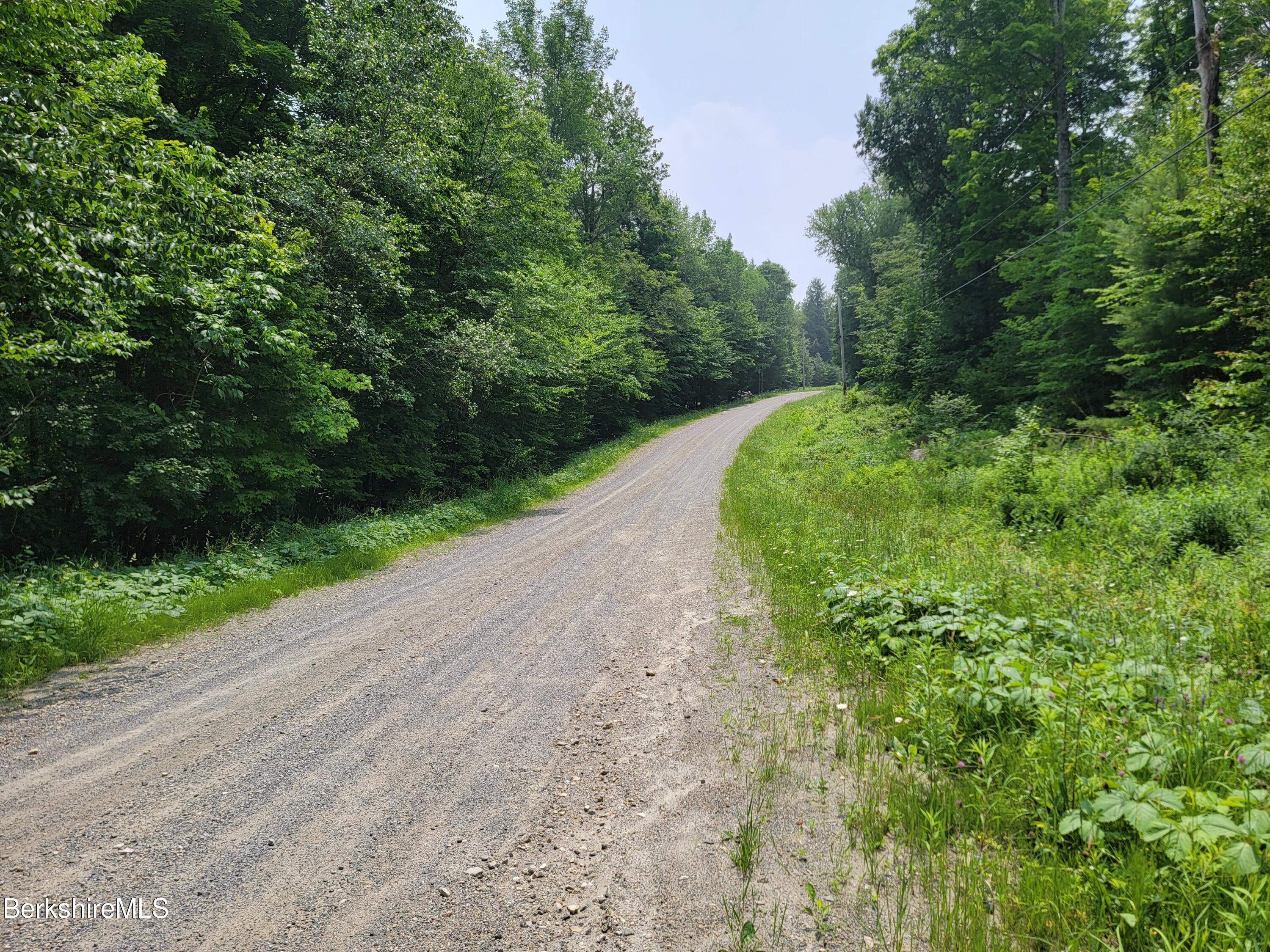 Sparrow Drive Stamford, VT 05352 - Photo 7 of 41 a view of a road with a yard