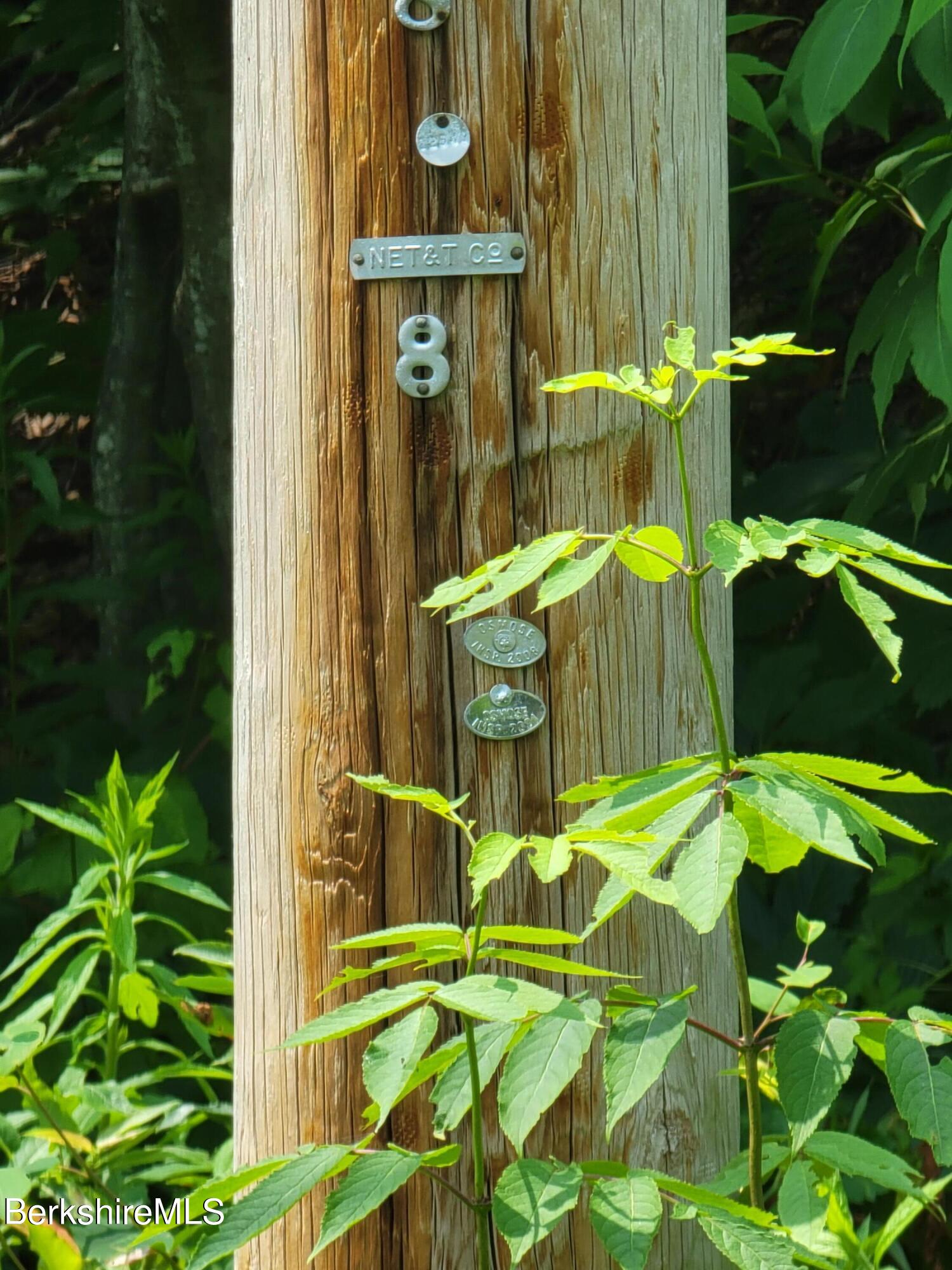 Sparrow Drive Stamford, VT 05352 - Photo 8 of 41 a view of an outdoor space